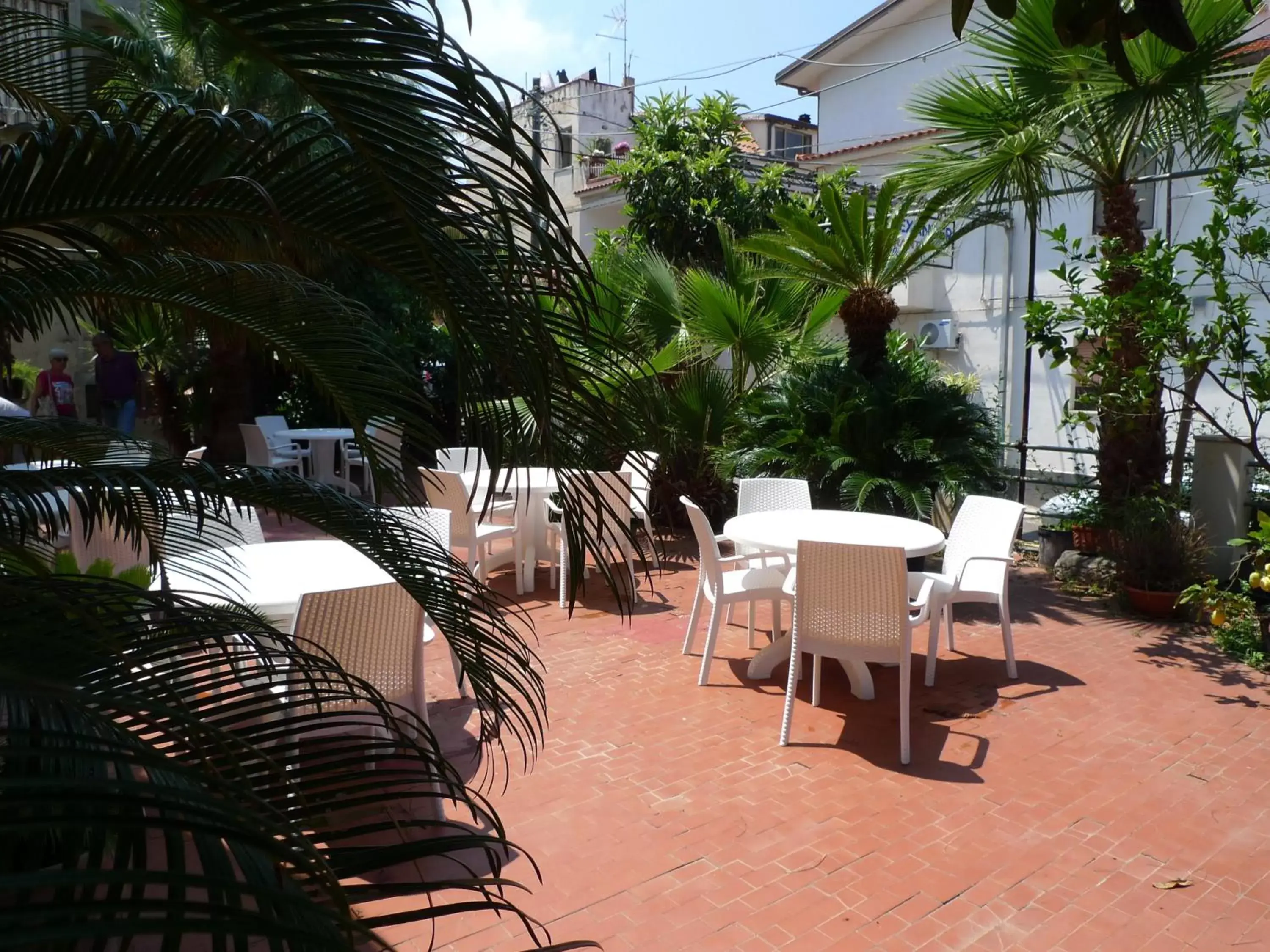 Garden in Hotel Alexander