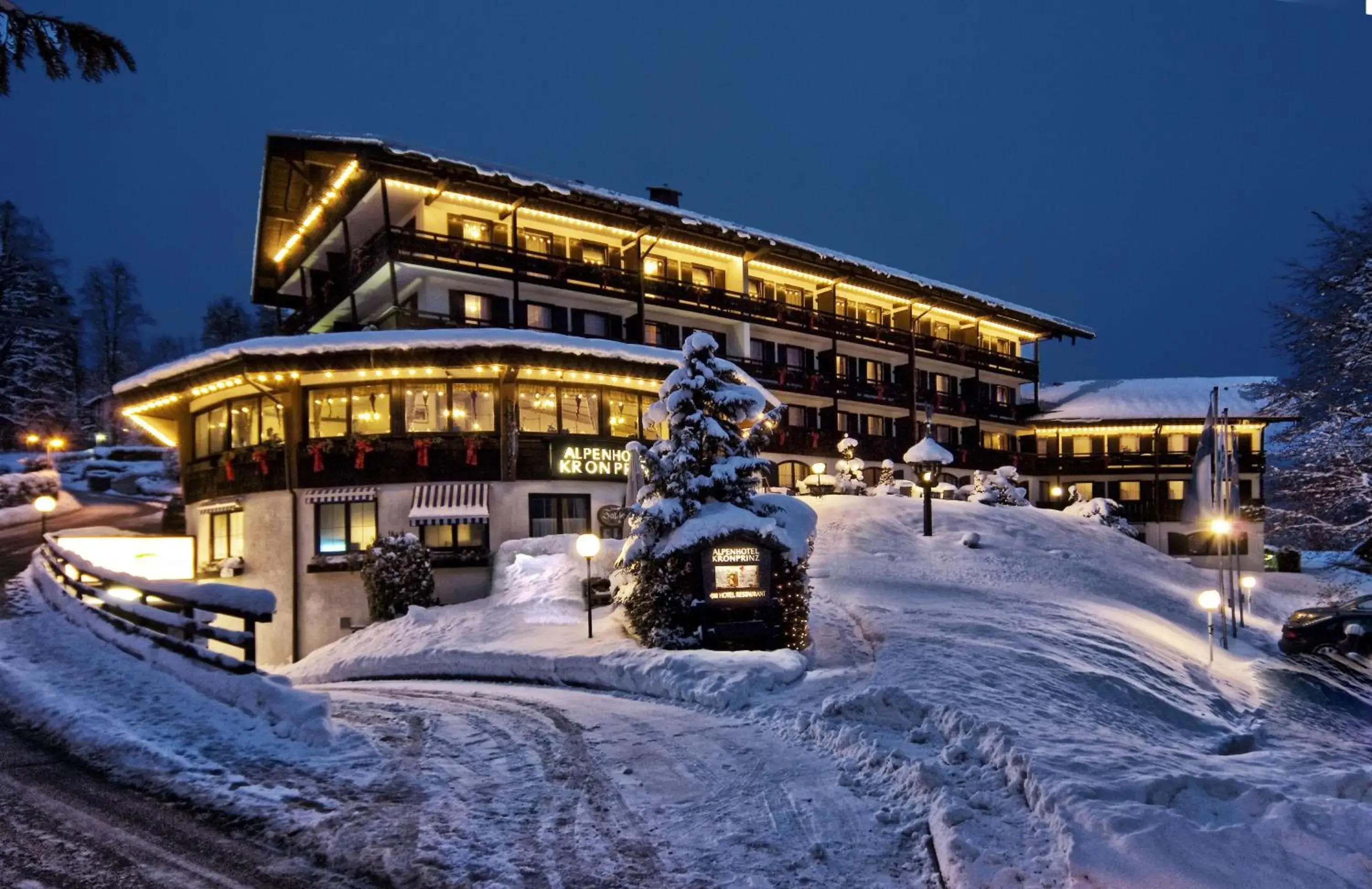 Facade/entrance, Winter in Alpenhotel Kronprinz