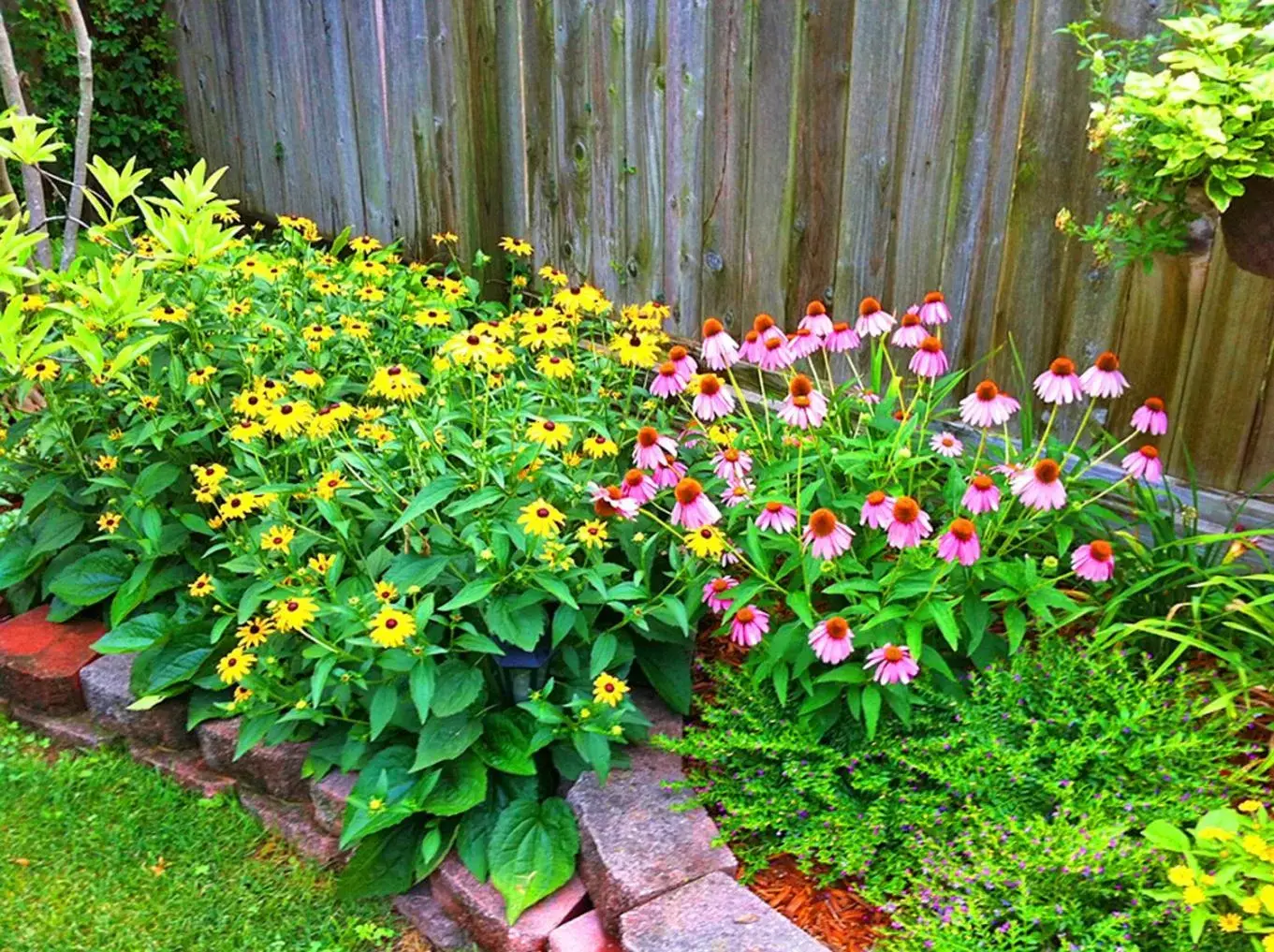 Garden in Lyndon House Bed & Breakfast