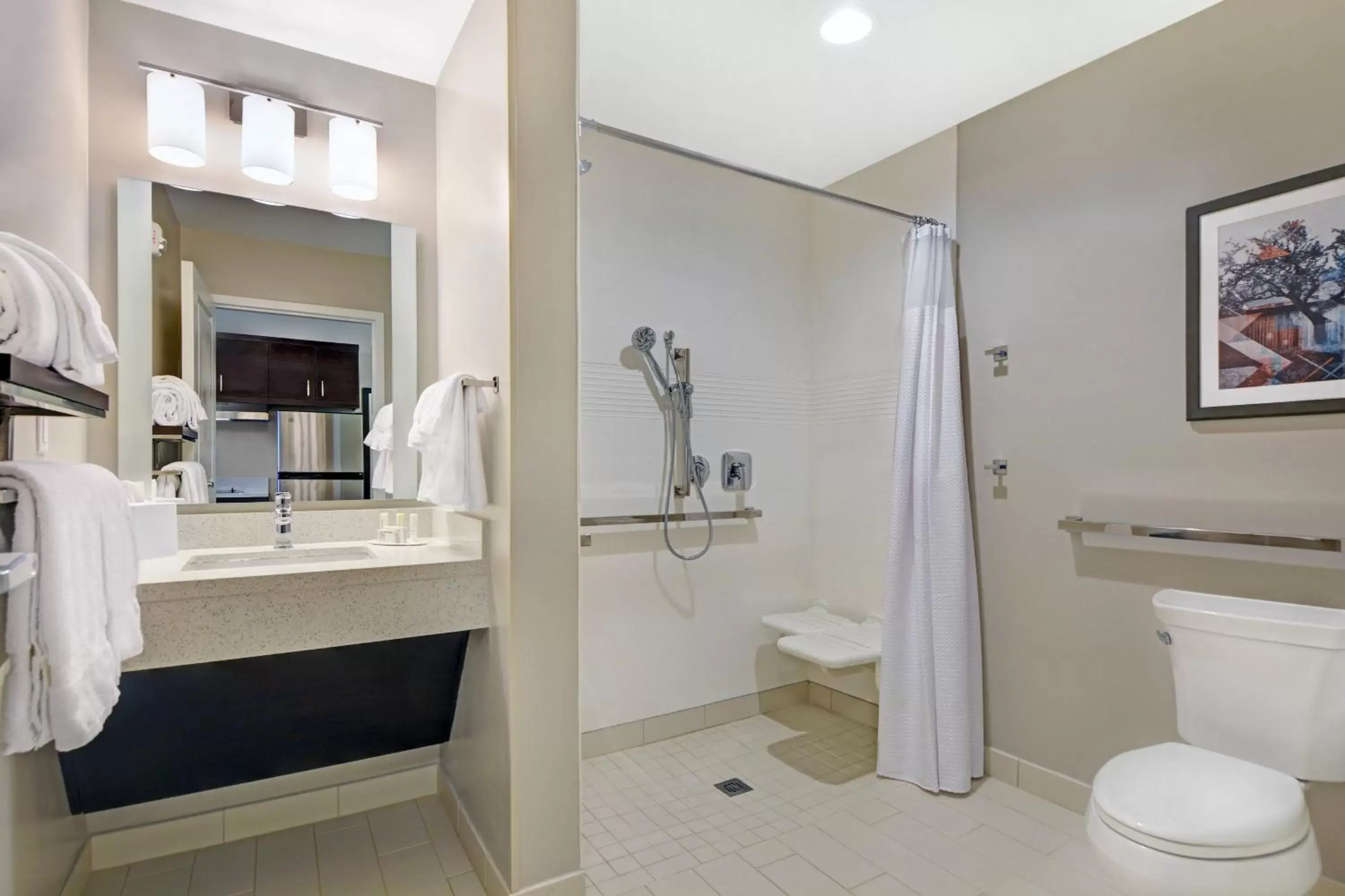 Bathroom in TownePlace Suites by Marriott Jackson Airport/Flowood