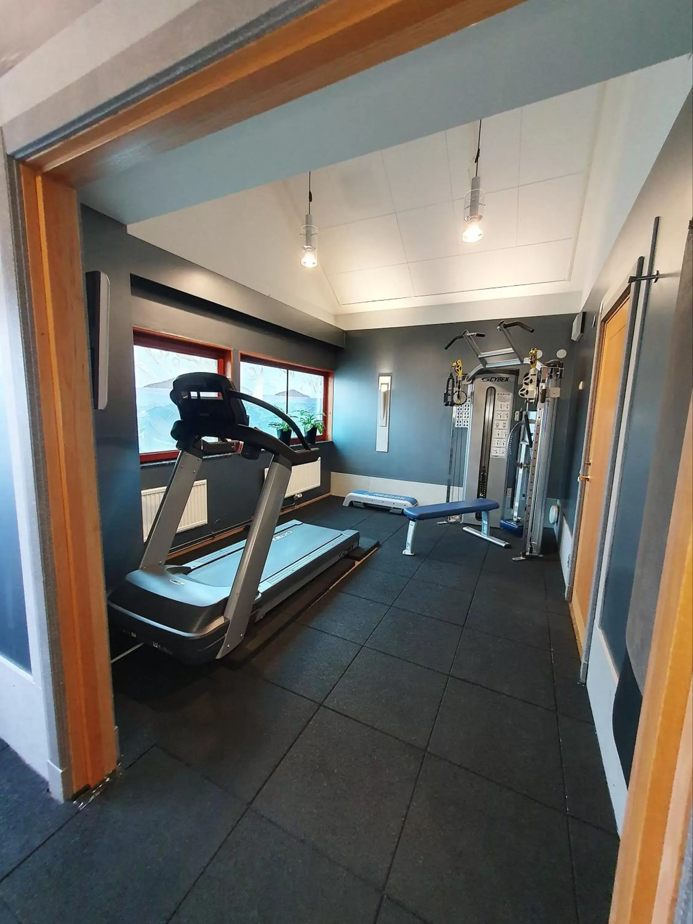 Fitness centre/facilities, Fitness Center/Facilities in Hotell Heden