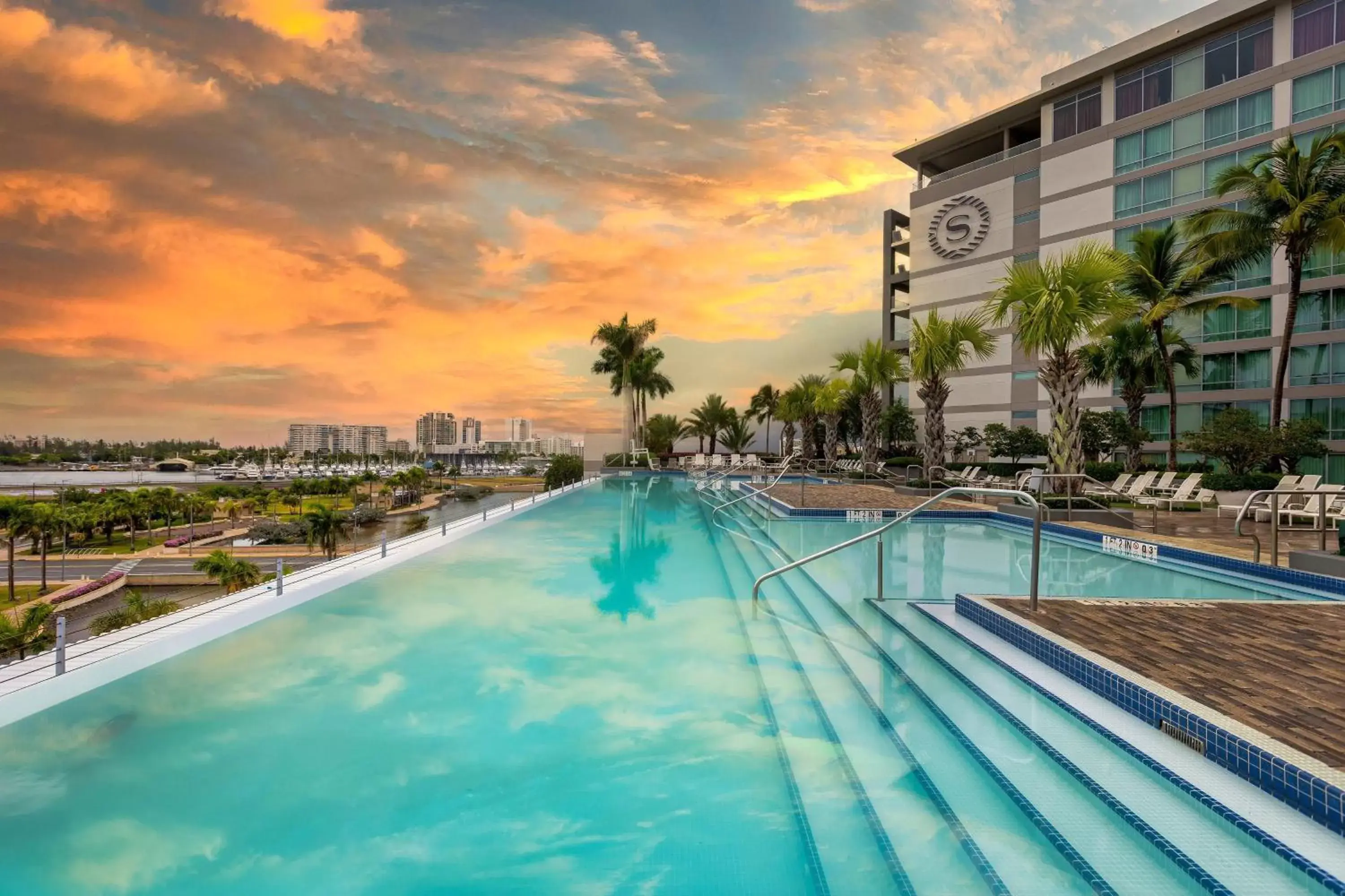 Swimming Pool in Sheraton Puerto Rico Resort & Casino