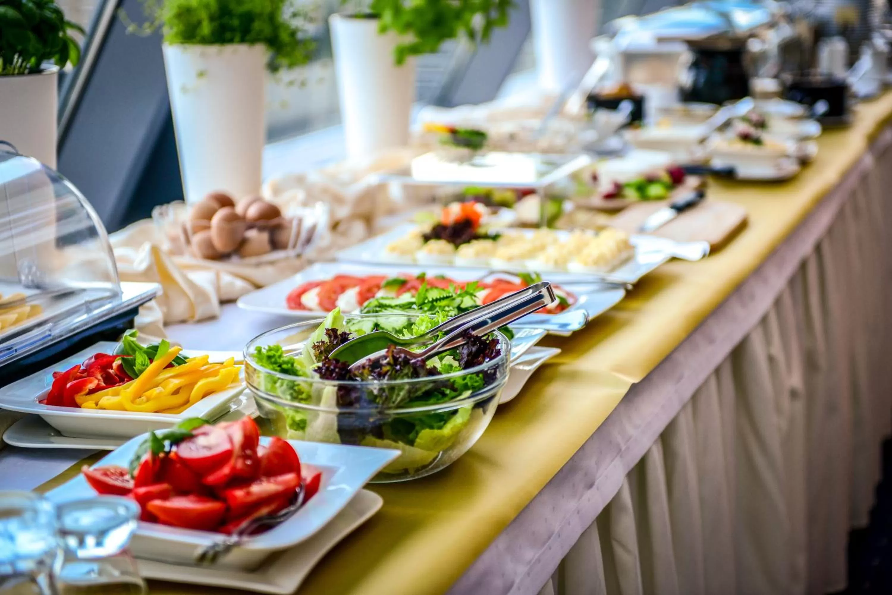 Restaurant/places to eat in Hotel Belweder