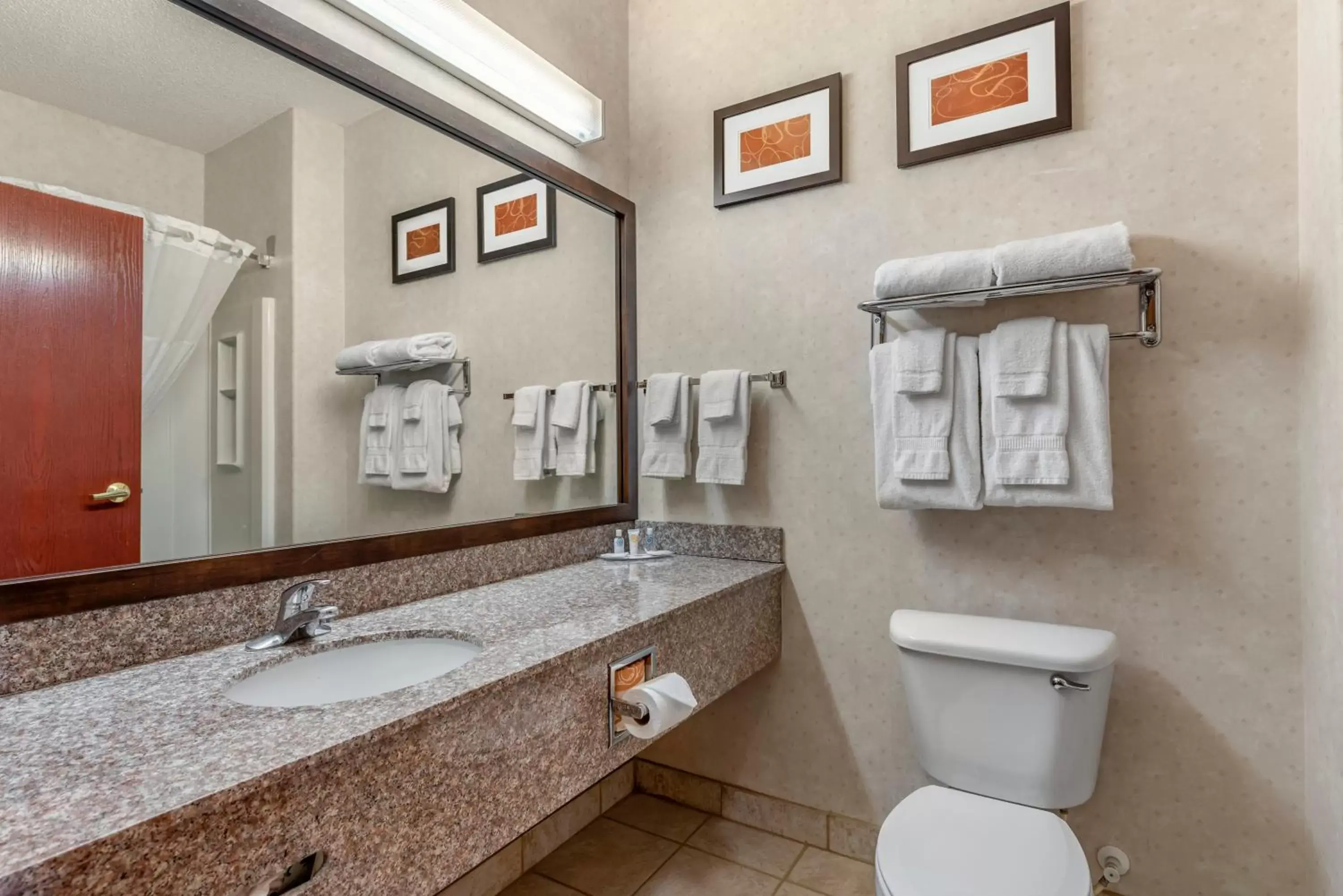 Bathroom in Comfort Suites Castle Rock