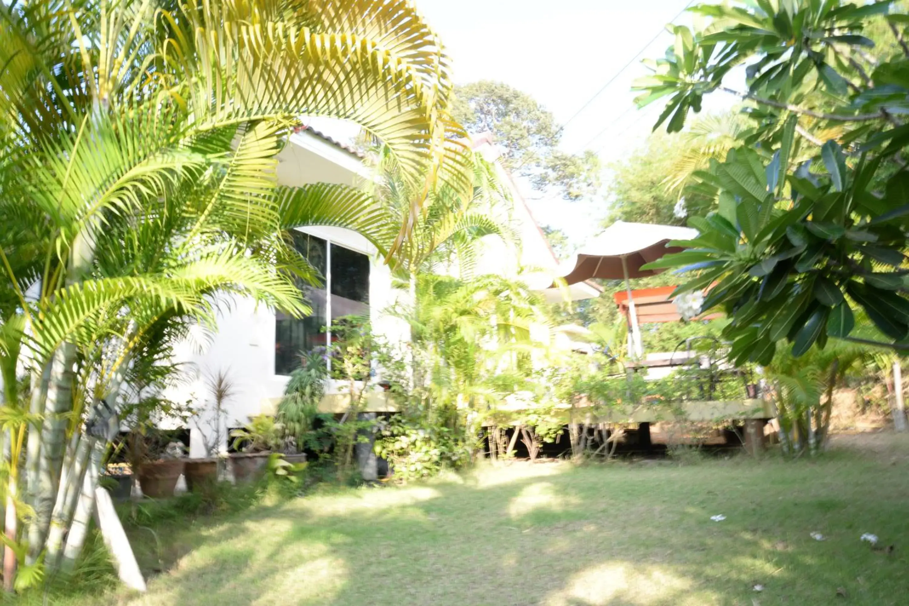 Property building, Garden in Bangsaray Villa