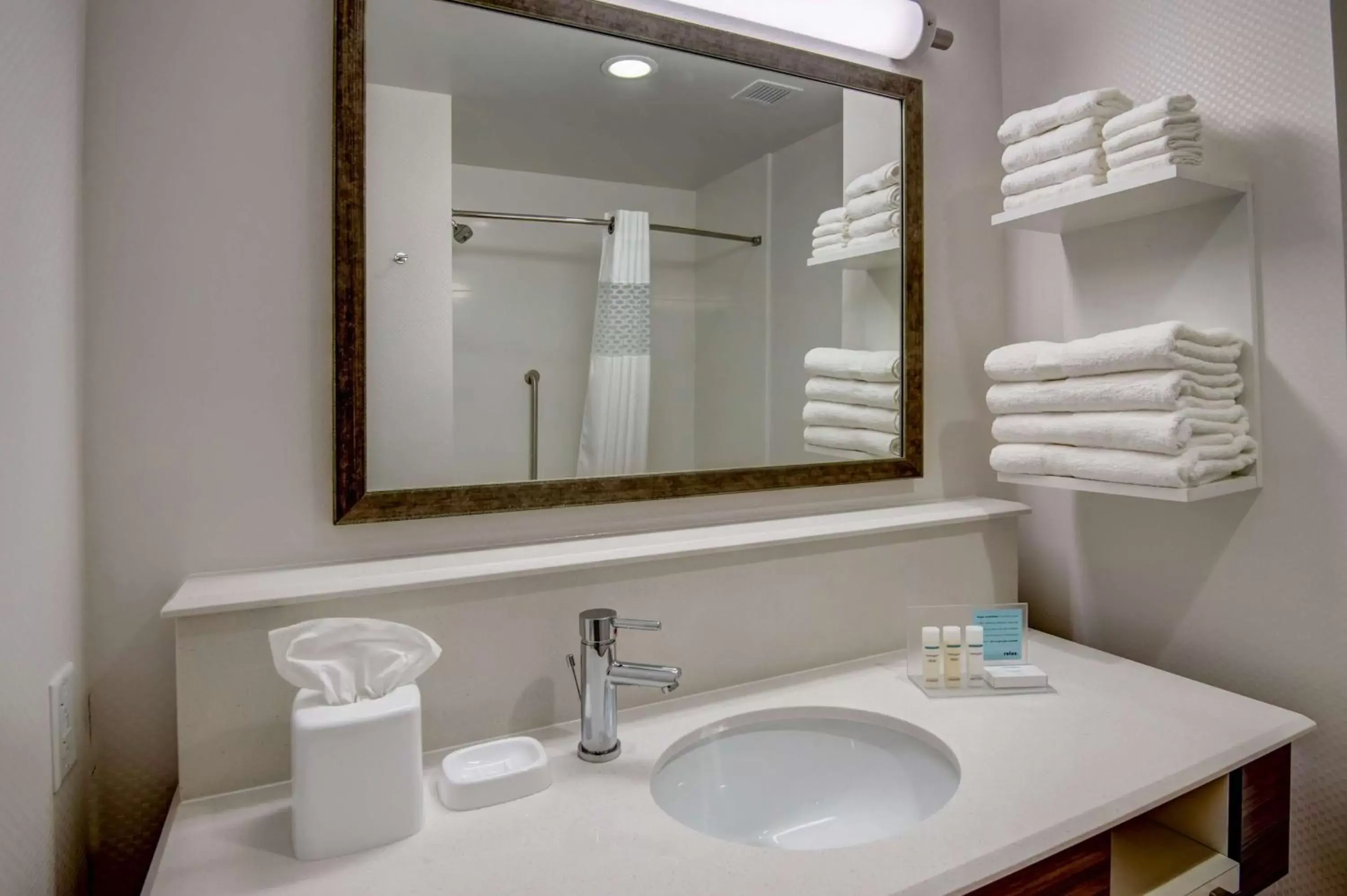 Bathroom in Hampton Inn Plant City Bathroom in Hampton Inn Plant City