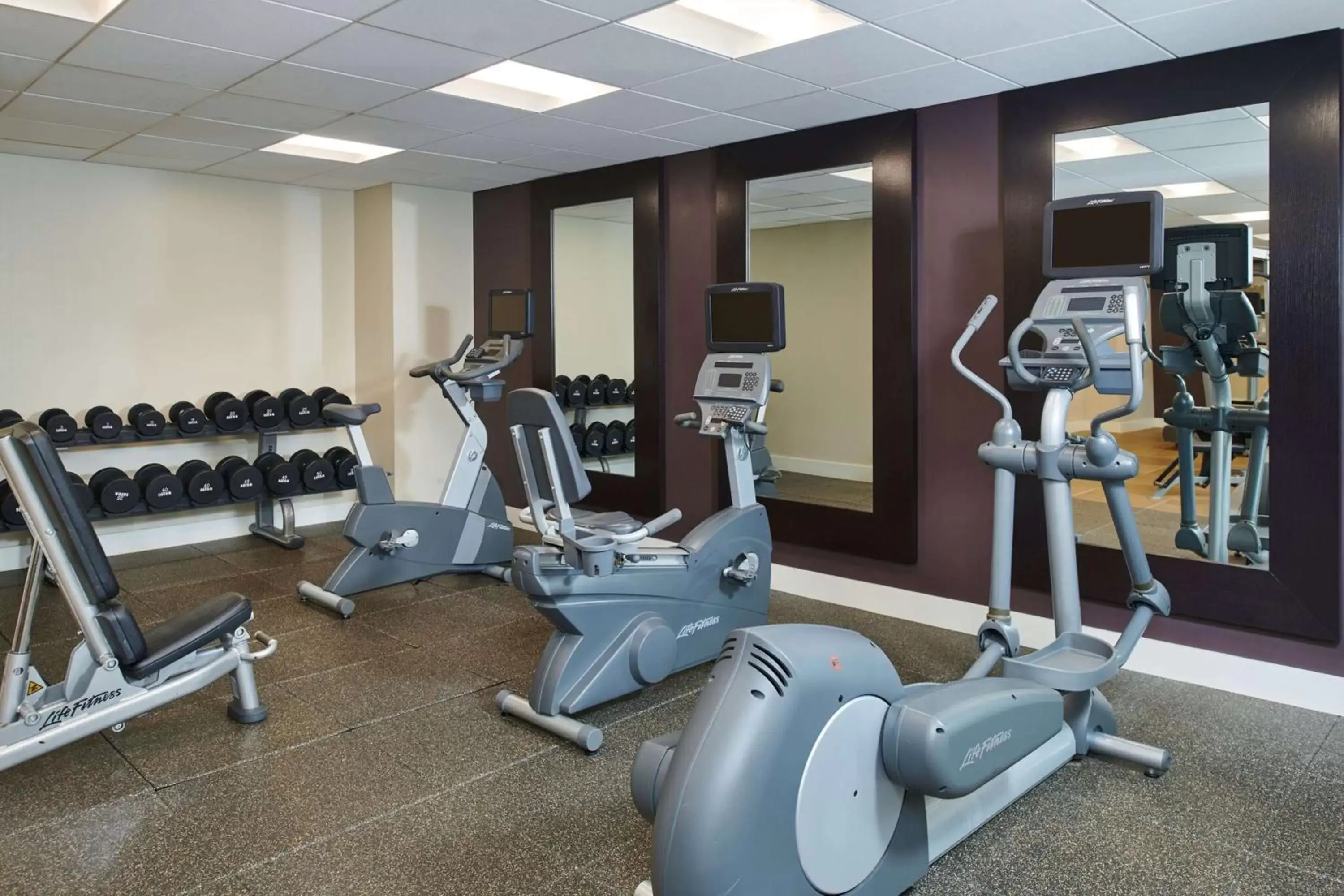 Fitness centre/facilities, Fitness Center/Facilities in Hotel Alex Johnson Rapid City, Curio Collection by Hilton