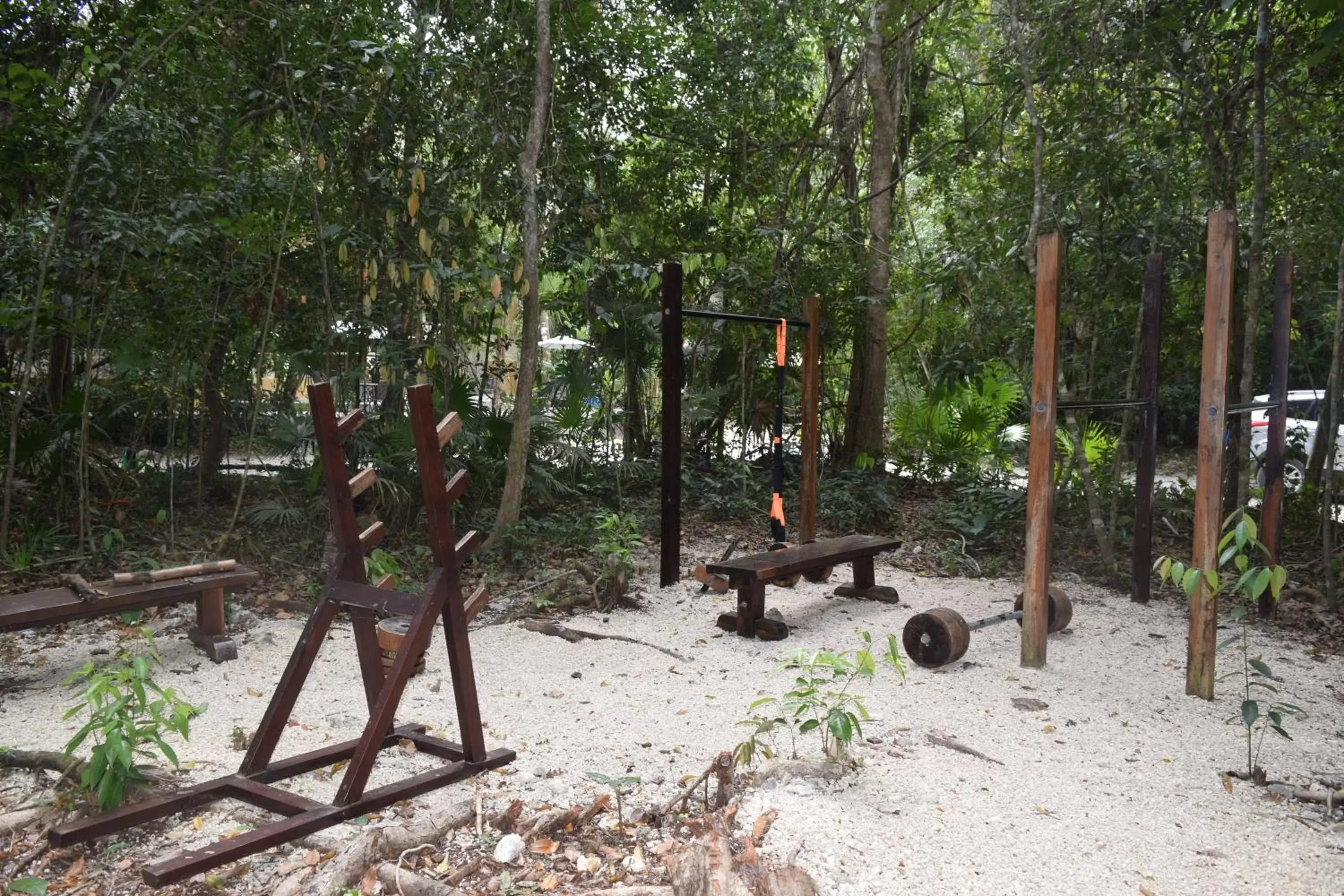 Fitness centre/facilities, Other Animals in Jolie Jungle Eco Hotel