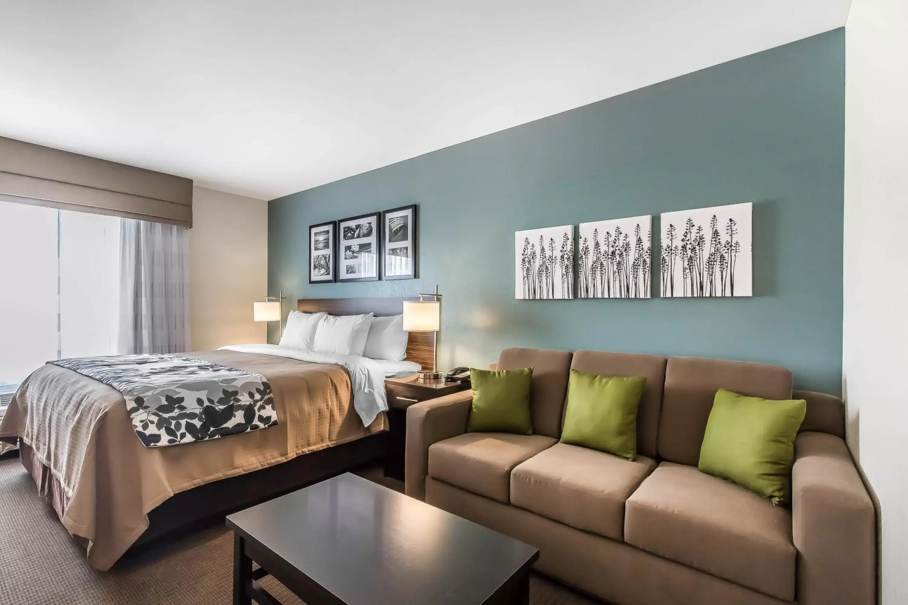 Living room, Lounge/Bar in Sleep Inn & Suites O'Fallon MO - Technology Drive