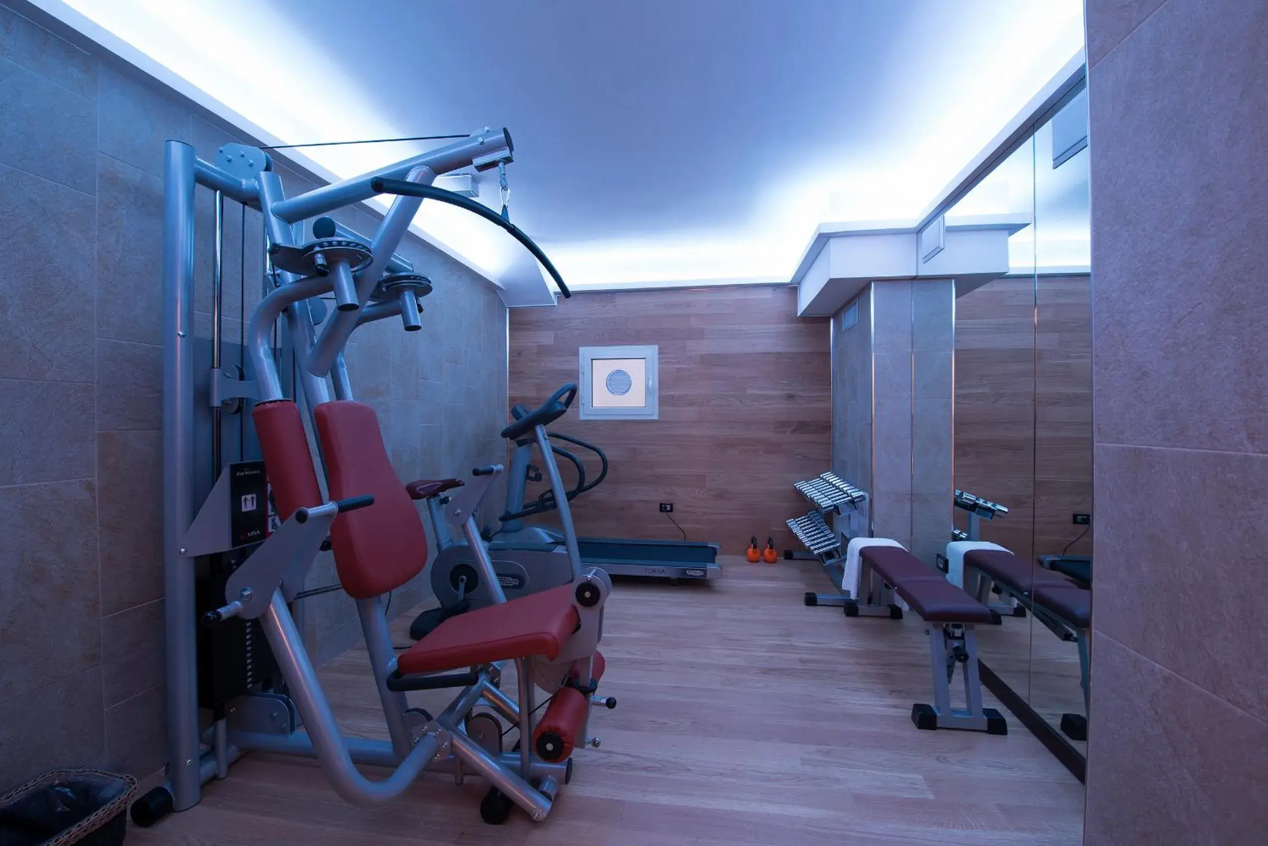 Fitness centre/facilities, Fitness Center/Facilities in Hotel Guglielmo