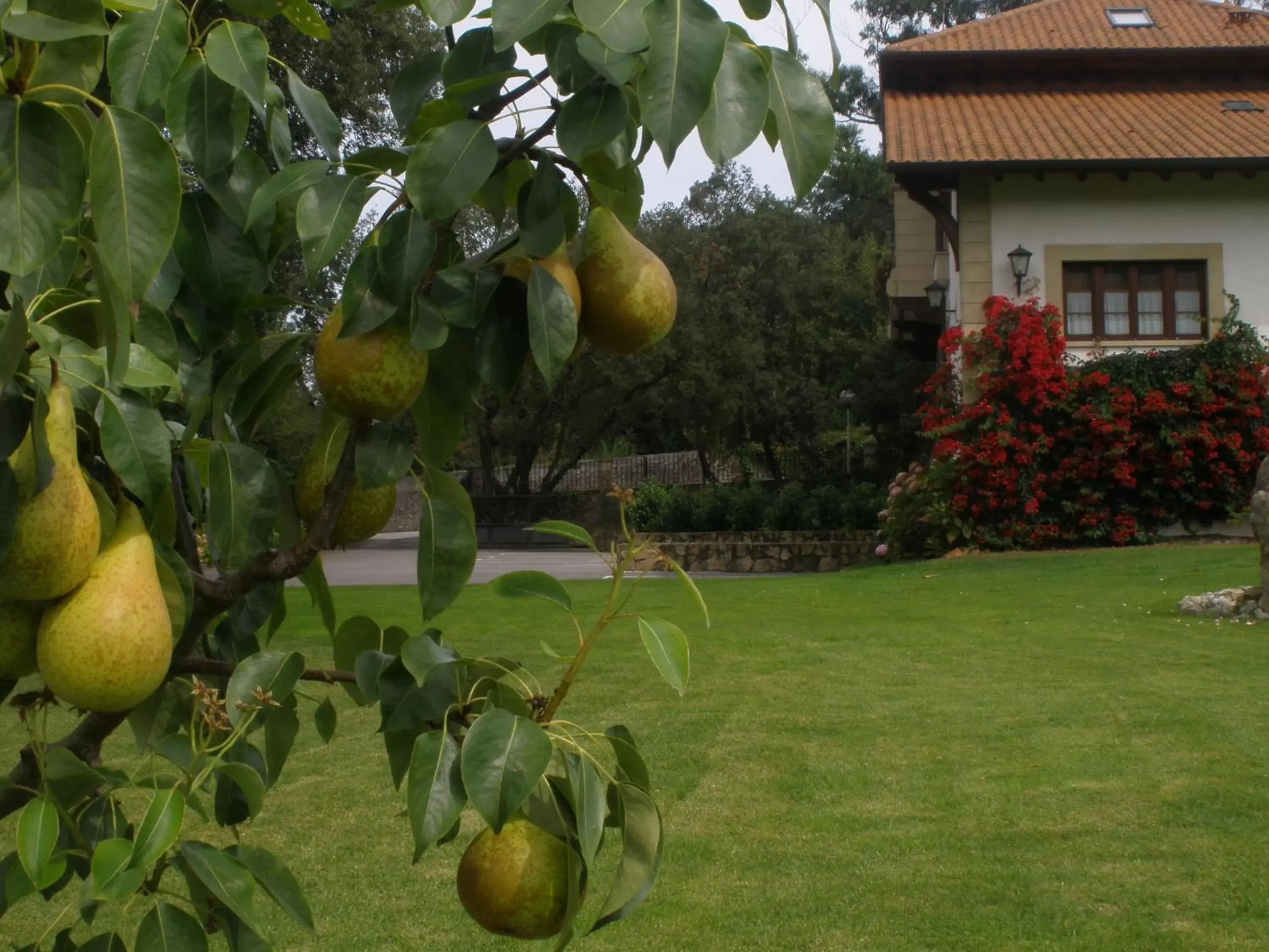 Off site, Garden in Hotel Posada La Robleda