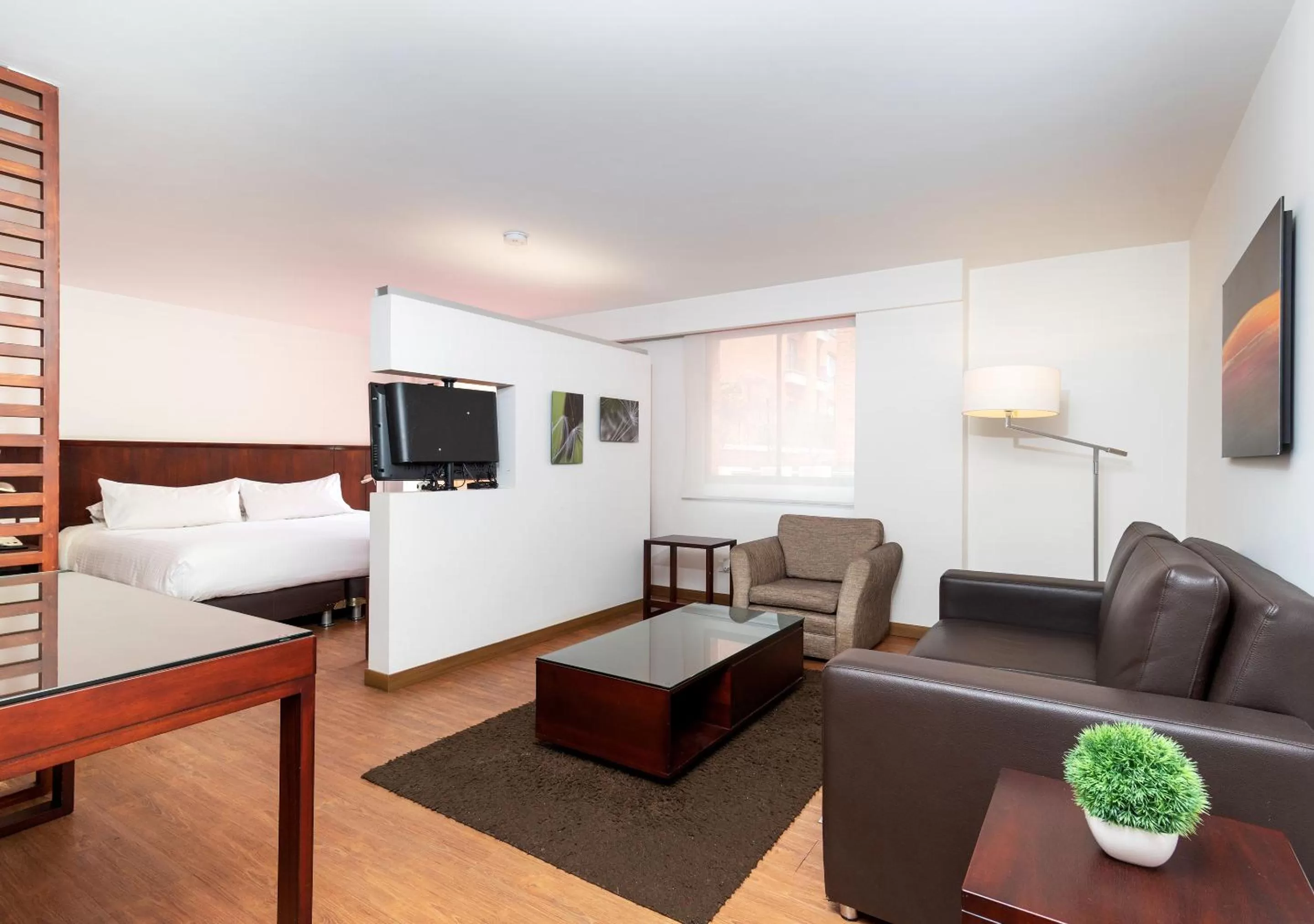 Photo of the whole room in Casa Real 93