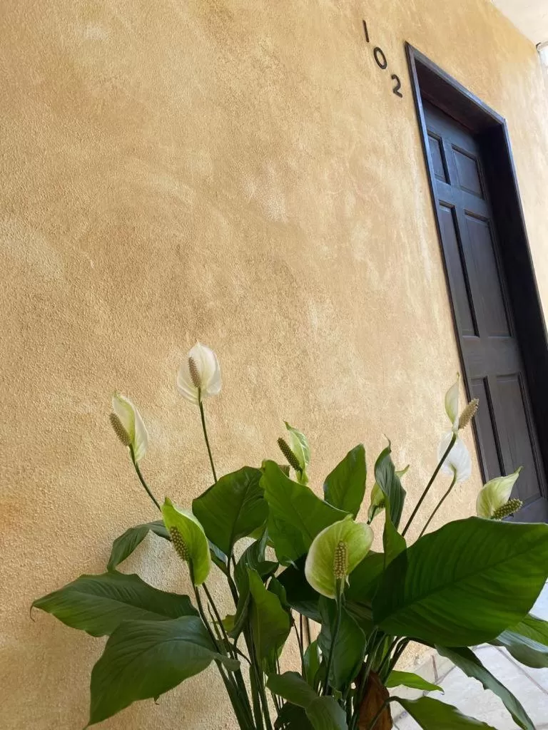 Hotel Camino Surreal Xilitla