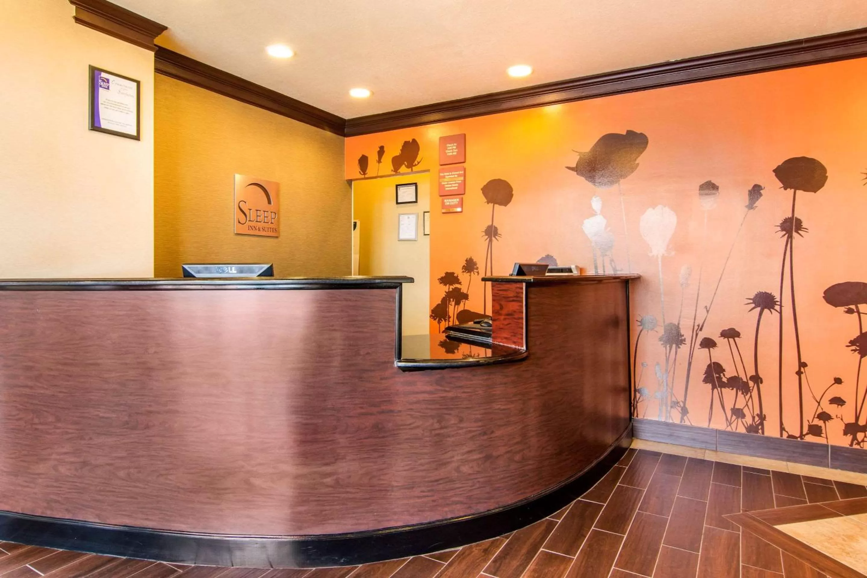 Lobby or reception in Sleep Inn & Suites Athens South