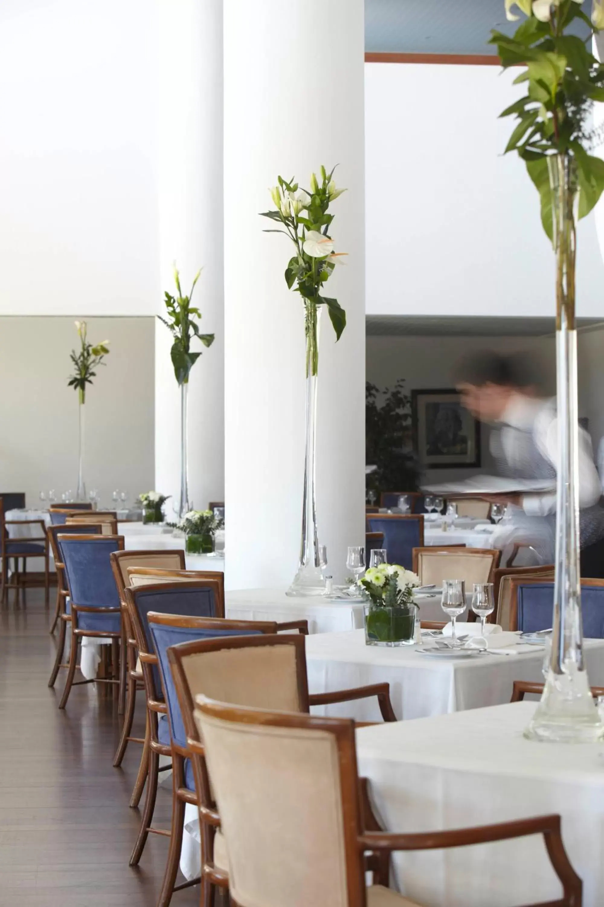 Restaurant/places to eat in Hotel Escola Restaurant/places to eat in Hotel Escola