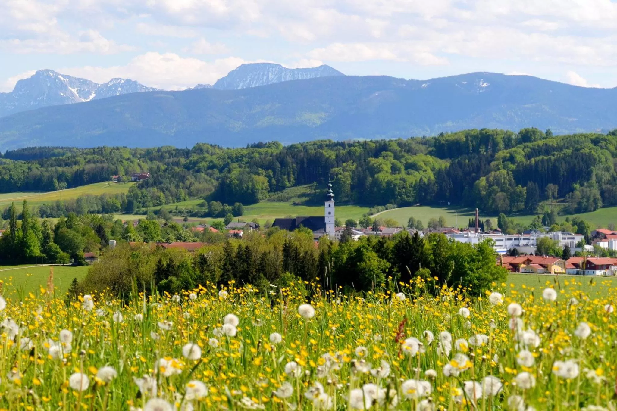 Natural landscape in Landhaus Tanner