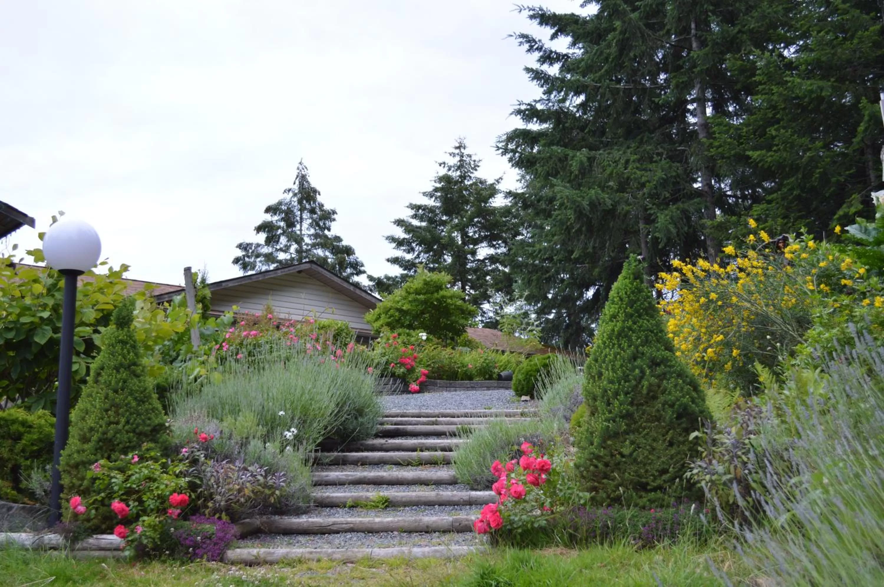 Property building, Garden in Armand Heights