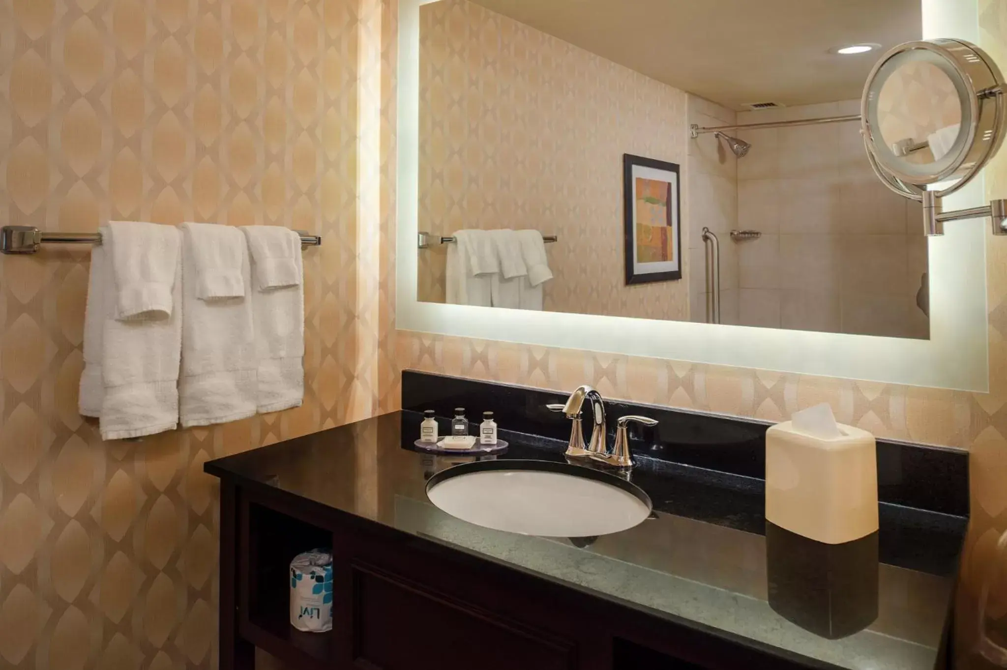 Bathroom in Crowne Plaza Hotel St. Louis Airport, an IHG Hotel