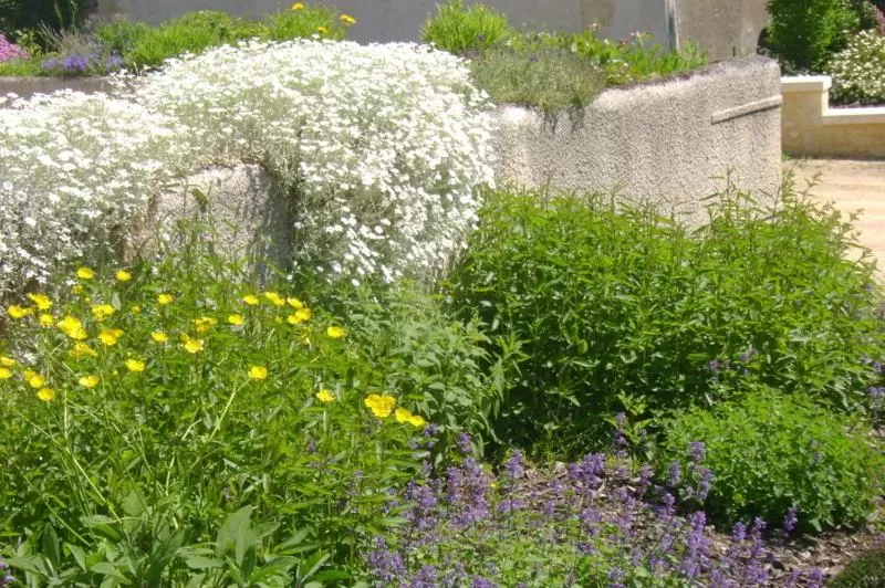 Natural landscape in Chambres d'Hôtes Le Tilleul