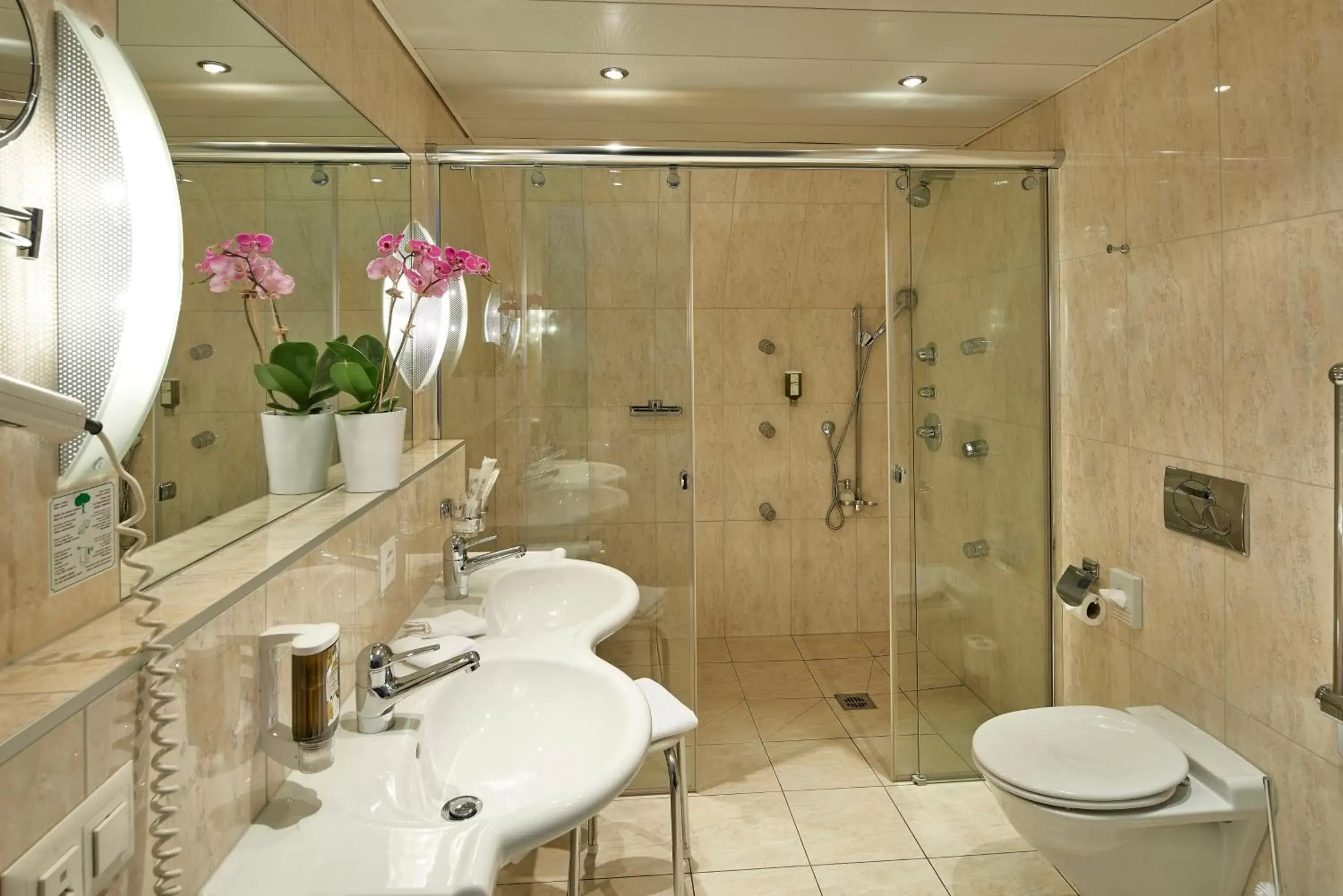 Shower, Bathroom in Hotel Ambassador