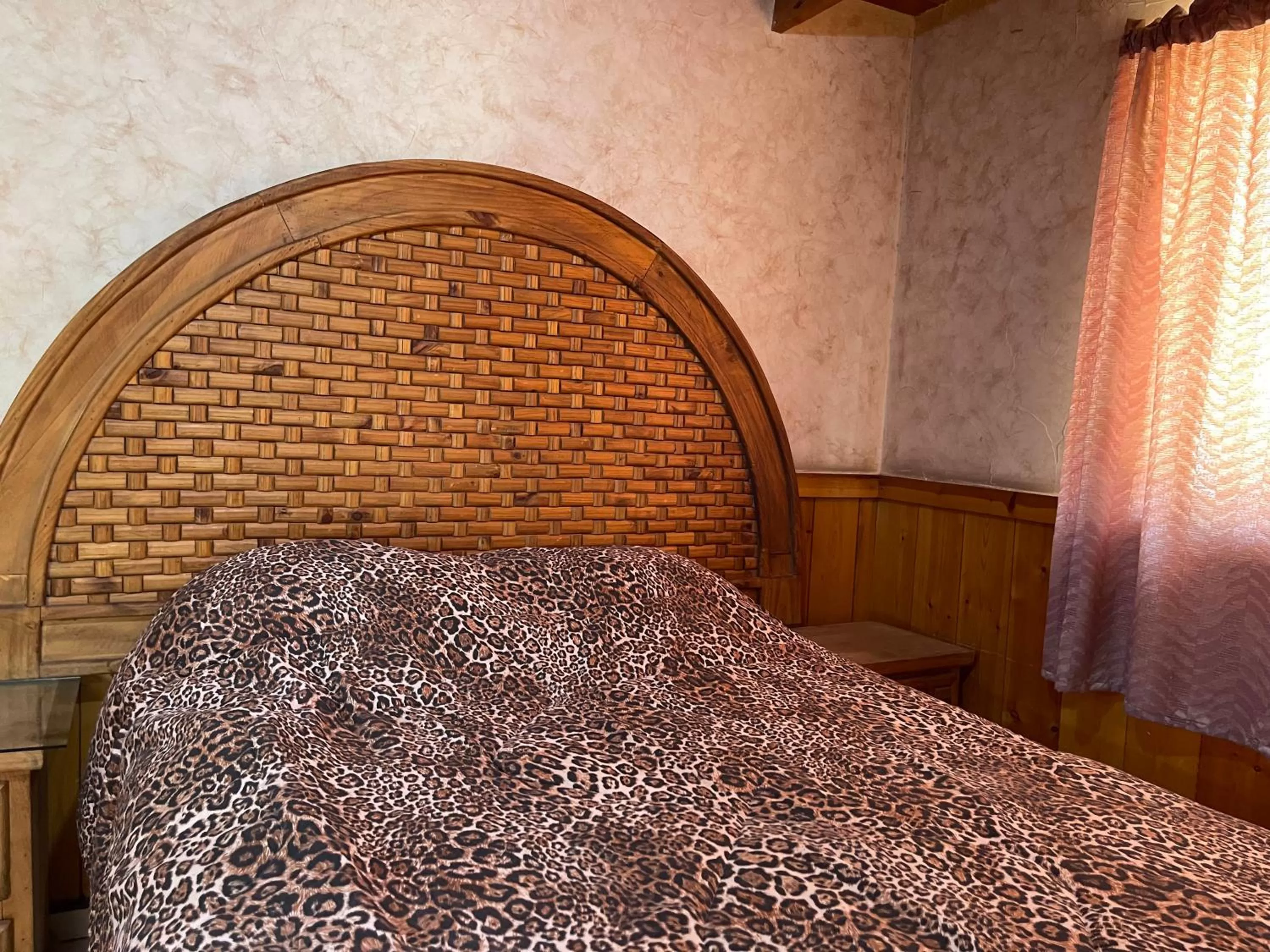 Photo of the whole room in Hotel Pueblo Viejo