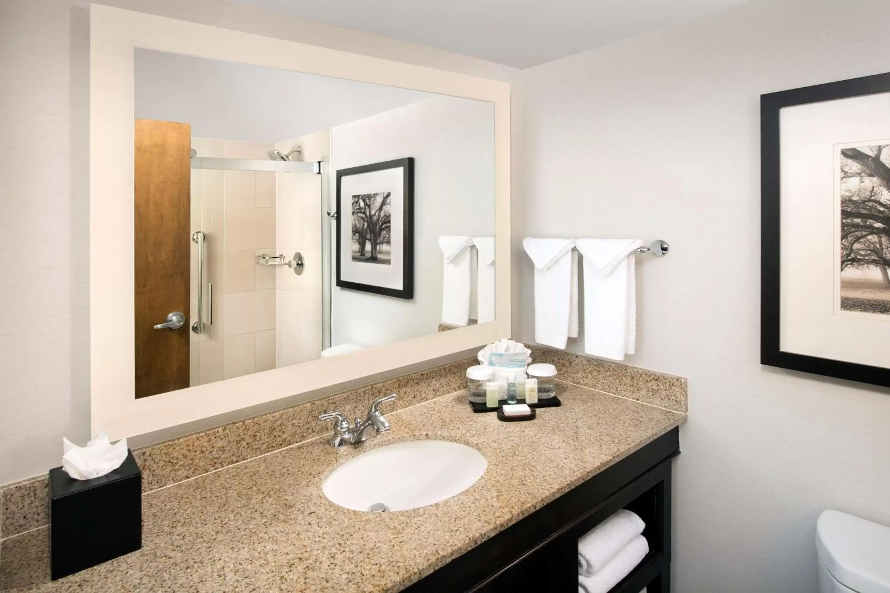 Bathroom in Embassy Suites by Hilton Columbus
