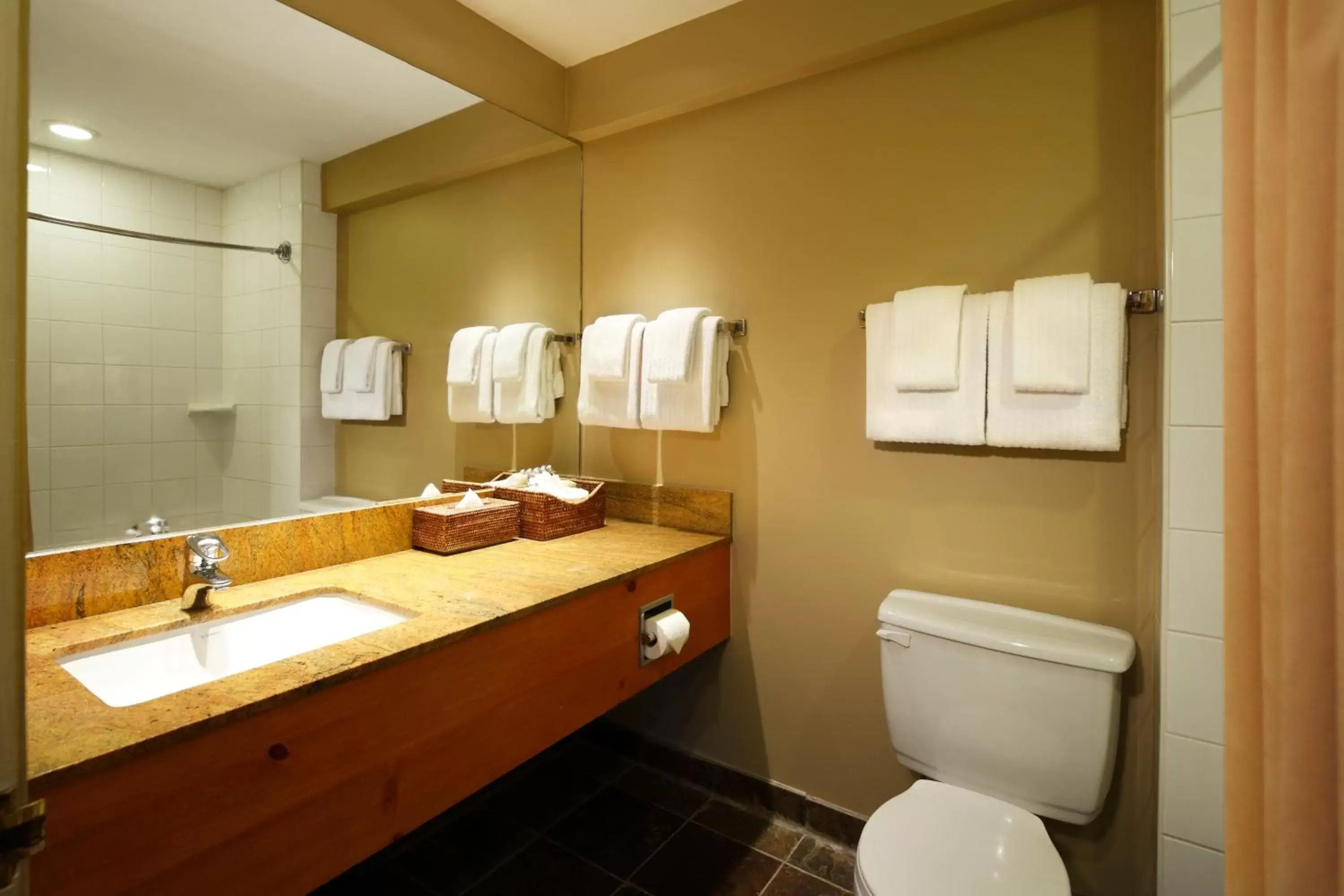 Bathroom in Buffalo Mountain Lodge