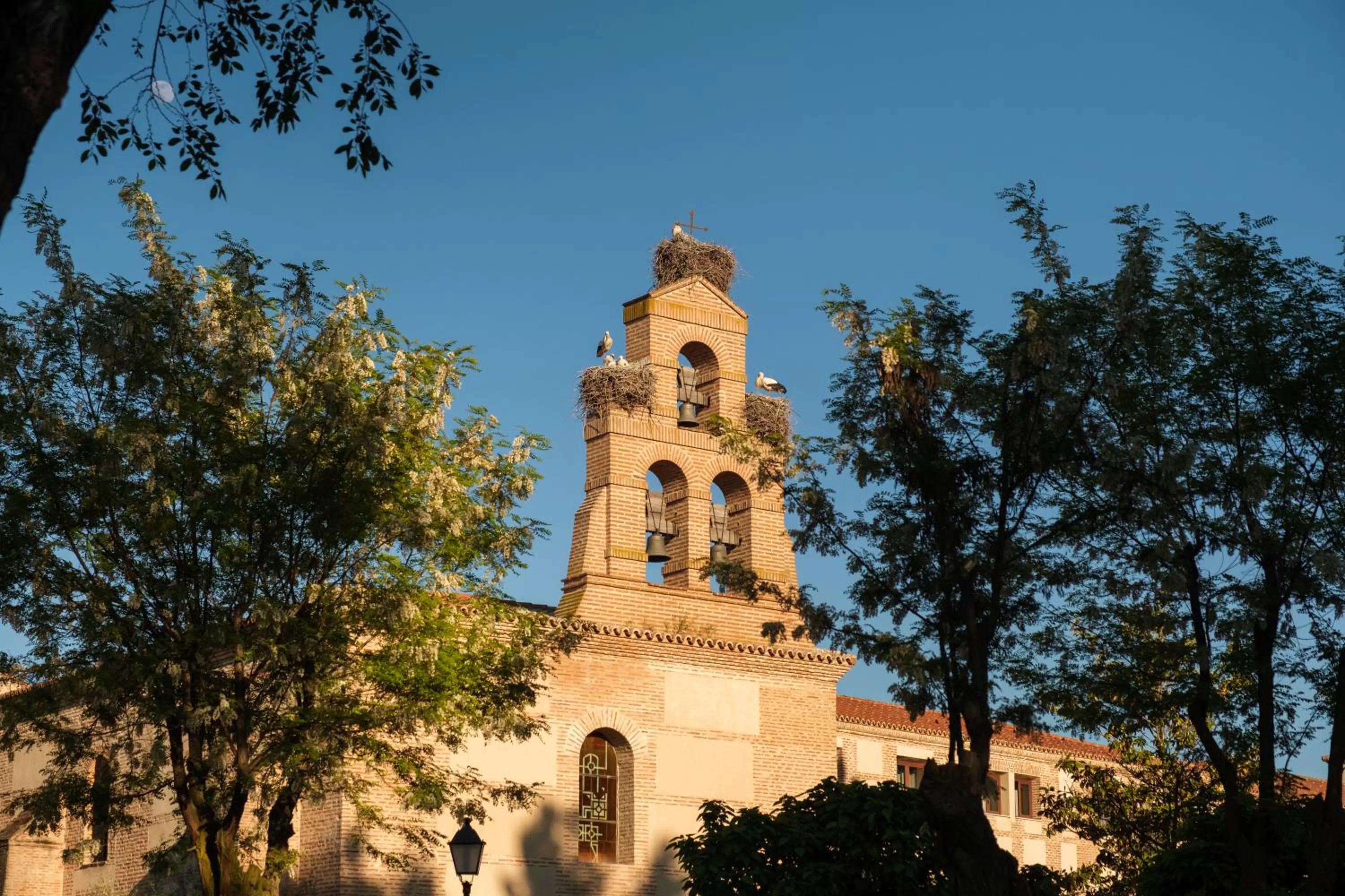 Property building in Castilla Termal Olmedo