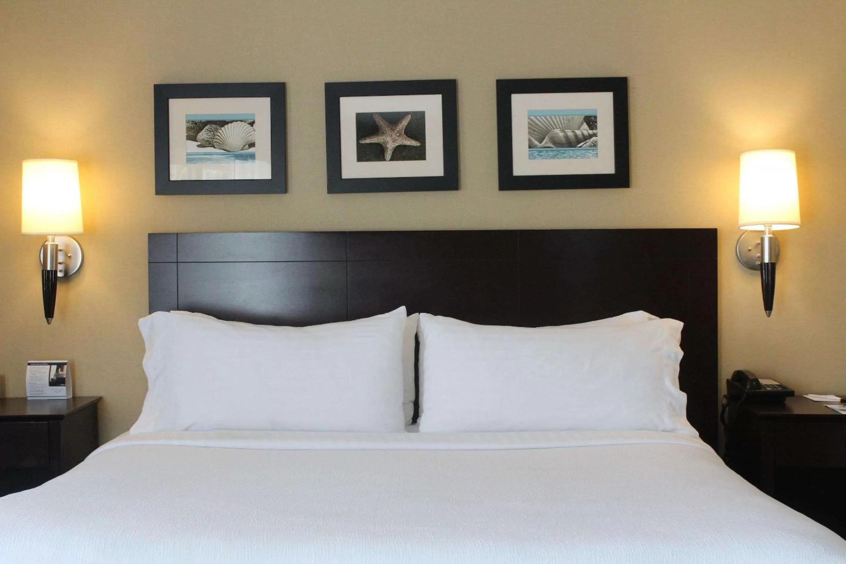 Photo of the whole room, Bed in The Volare, an Ascend Collection Hotel