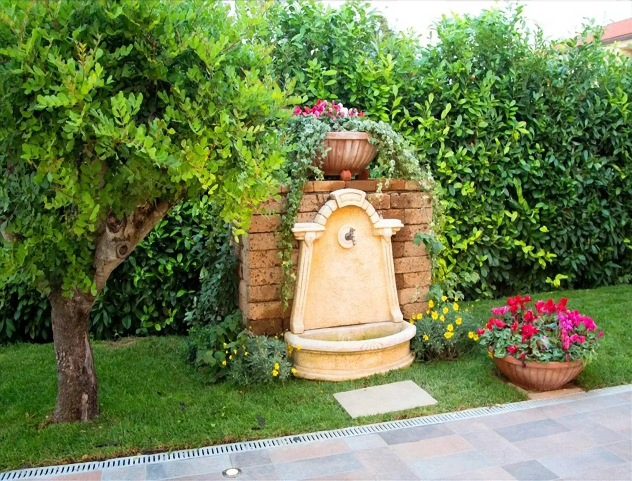 Garden in Hotel Villa Clementina