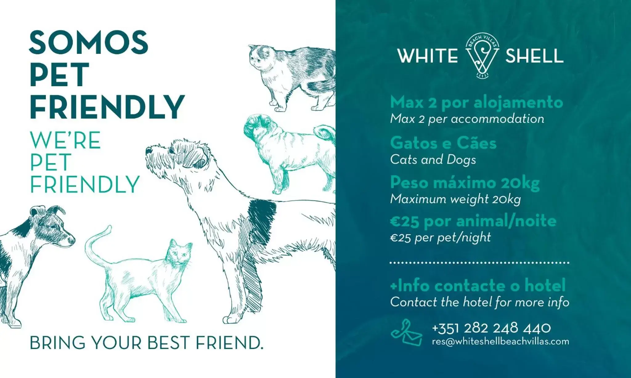 Pets in White Shell Beach Villas