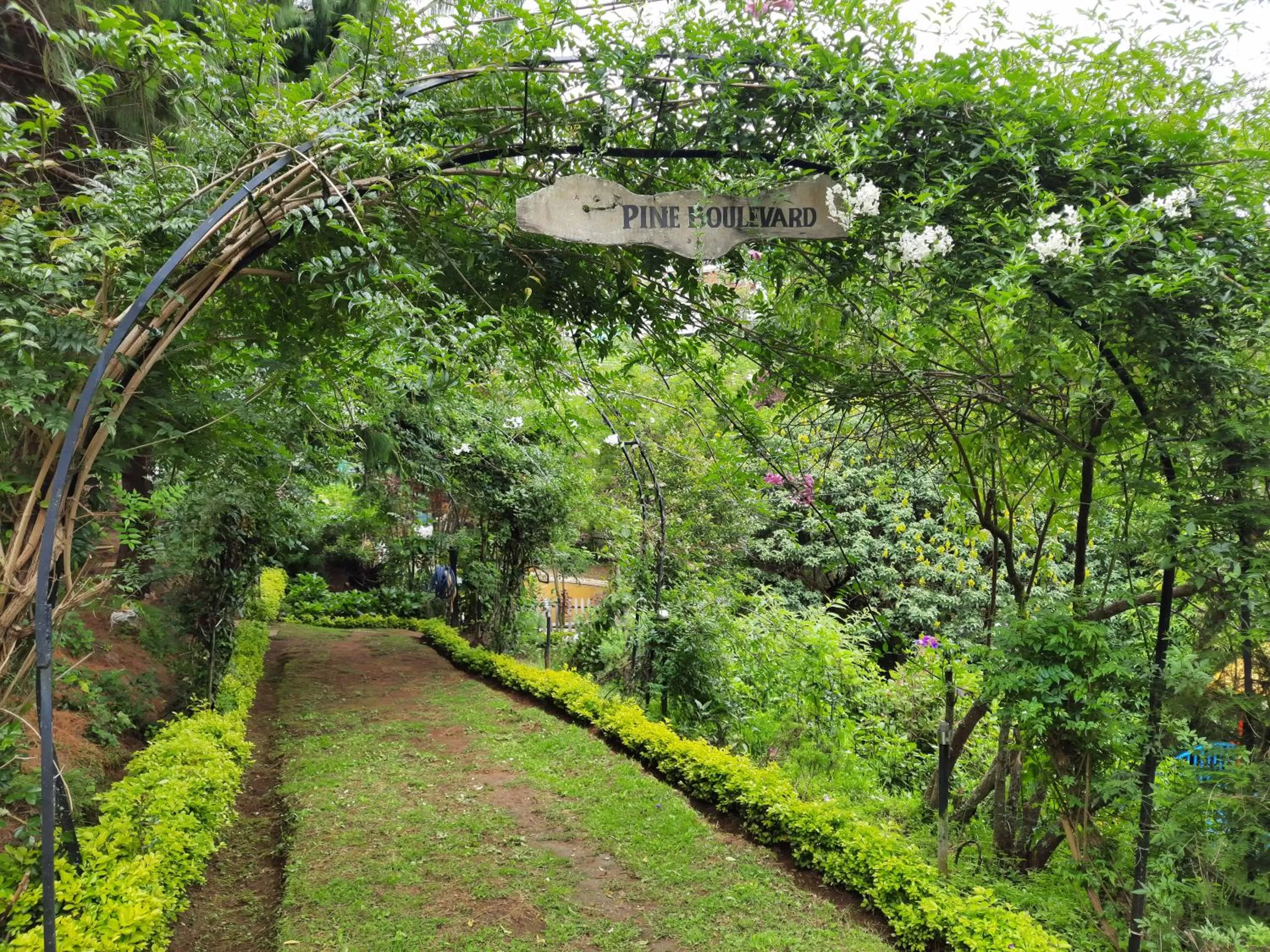Garden view in Pine Borough Inn
