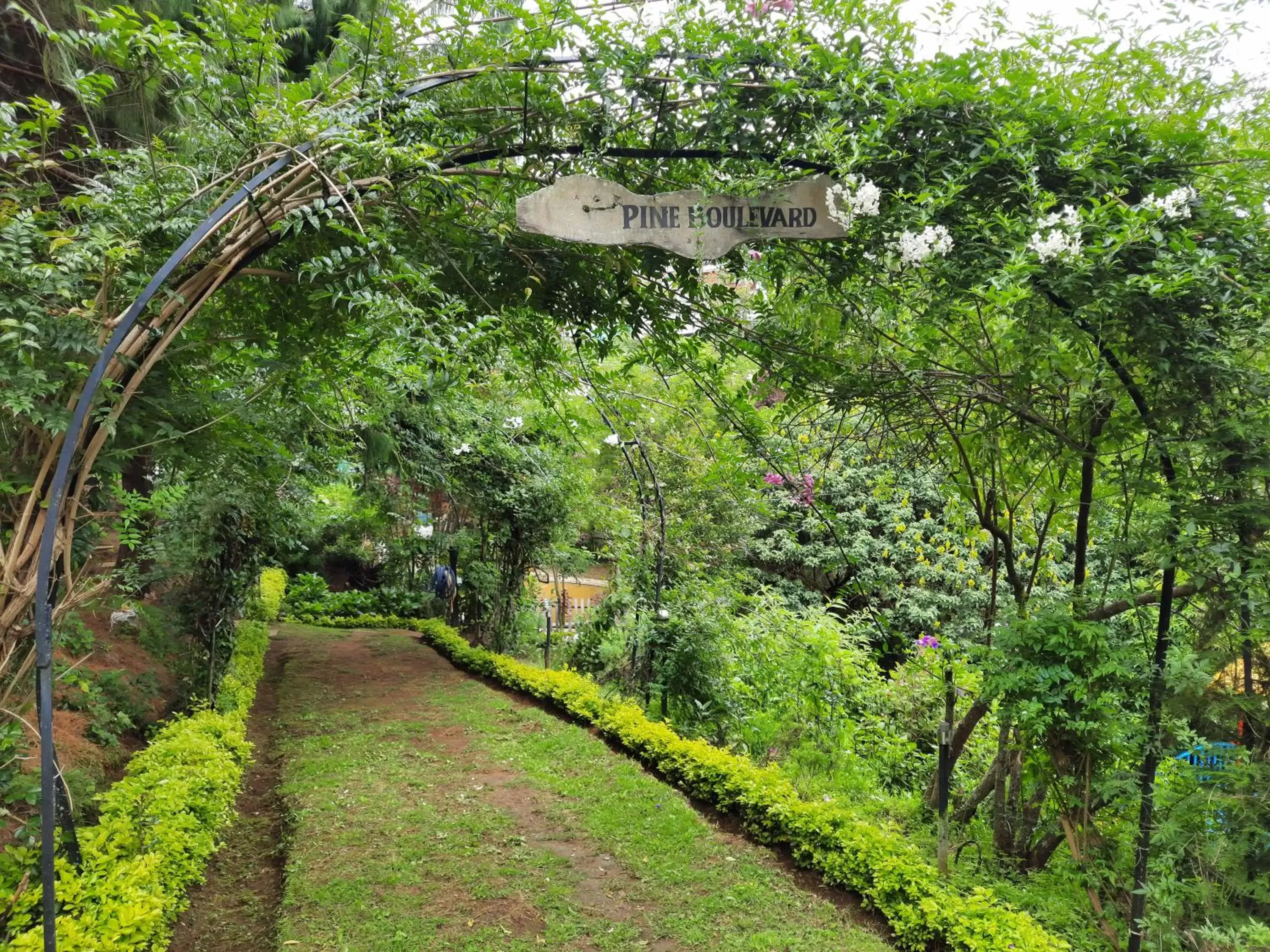Garden view in Pine Borough Inn Garden view in Pine Borough Inn