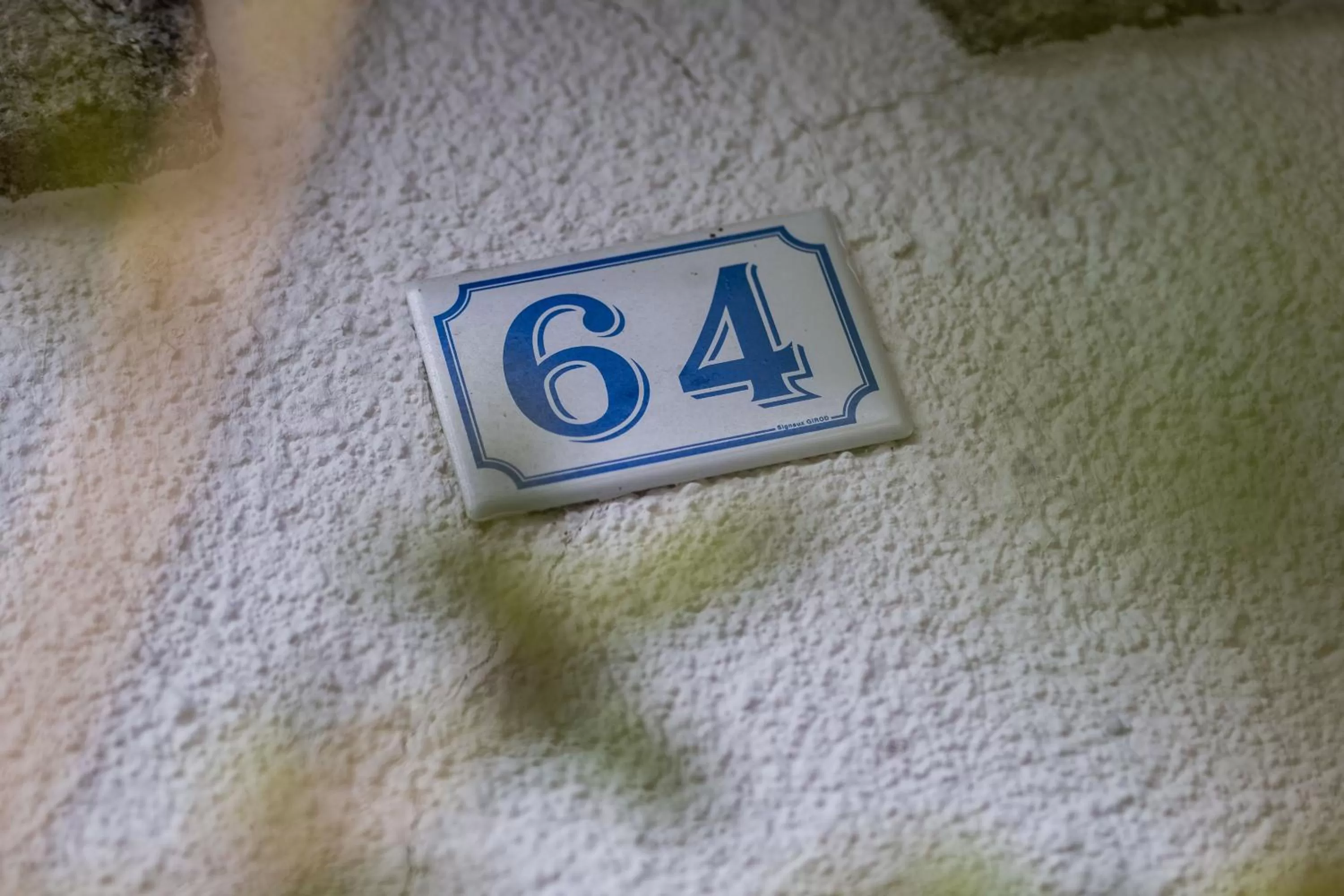 Decorative detail in Coeur des Neiges