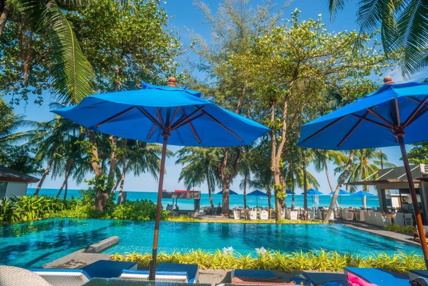 Swimming pool in Synergy Samui Swimming pool in Synergy Samui