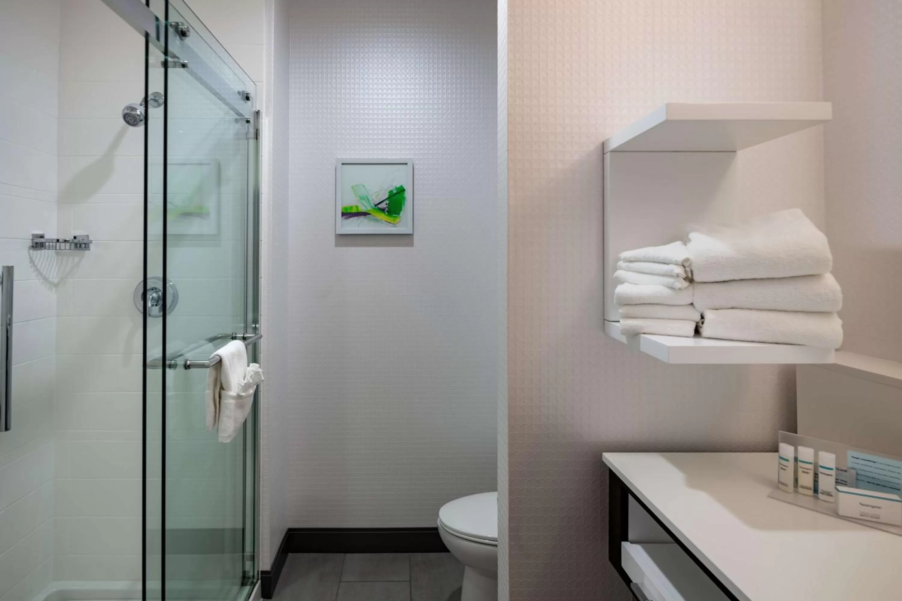 Bathroom in Hampton Inn & Suites Dallas/Plano Central