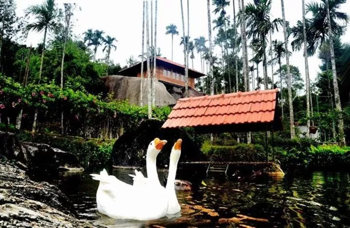 Garden, Property Building in Marmalade Springs Resort Wayanad