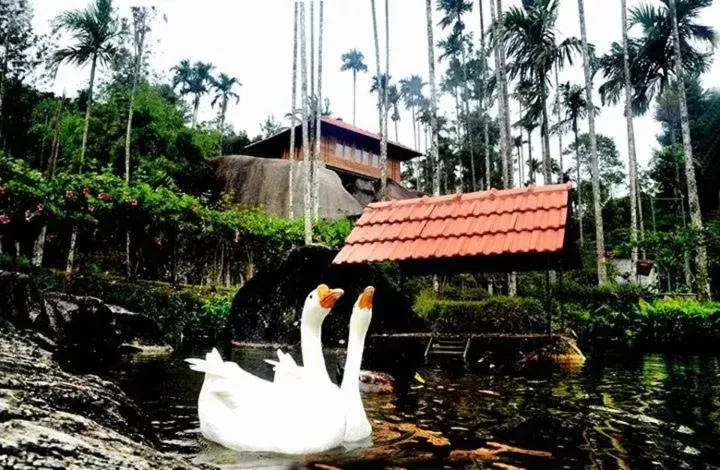 Garden, Property Building in Marmalade Springs Resort Wayanad Garden, Property Building in Marmalade Springs Resort Wayanad