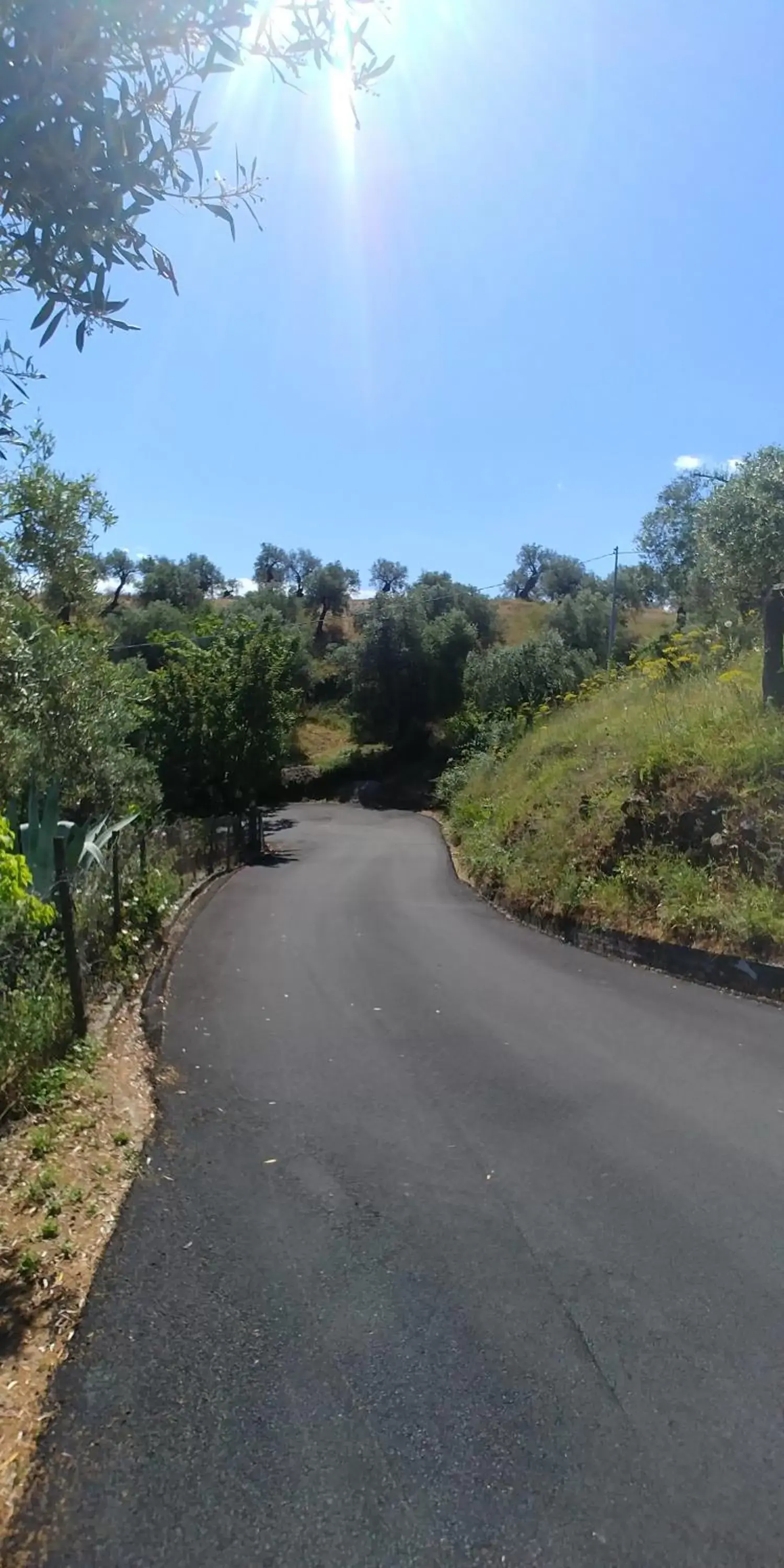 Street view in La Piana degli Ulivi