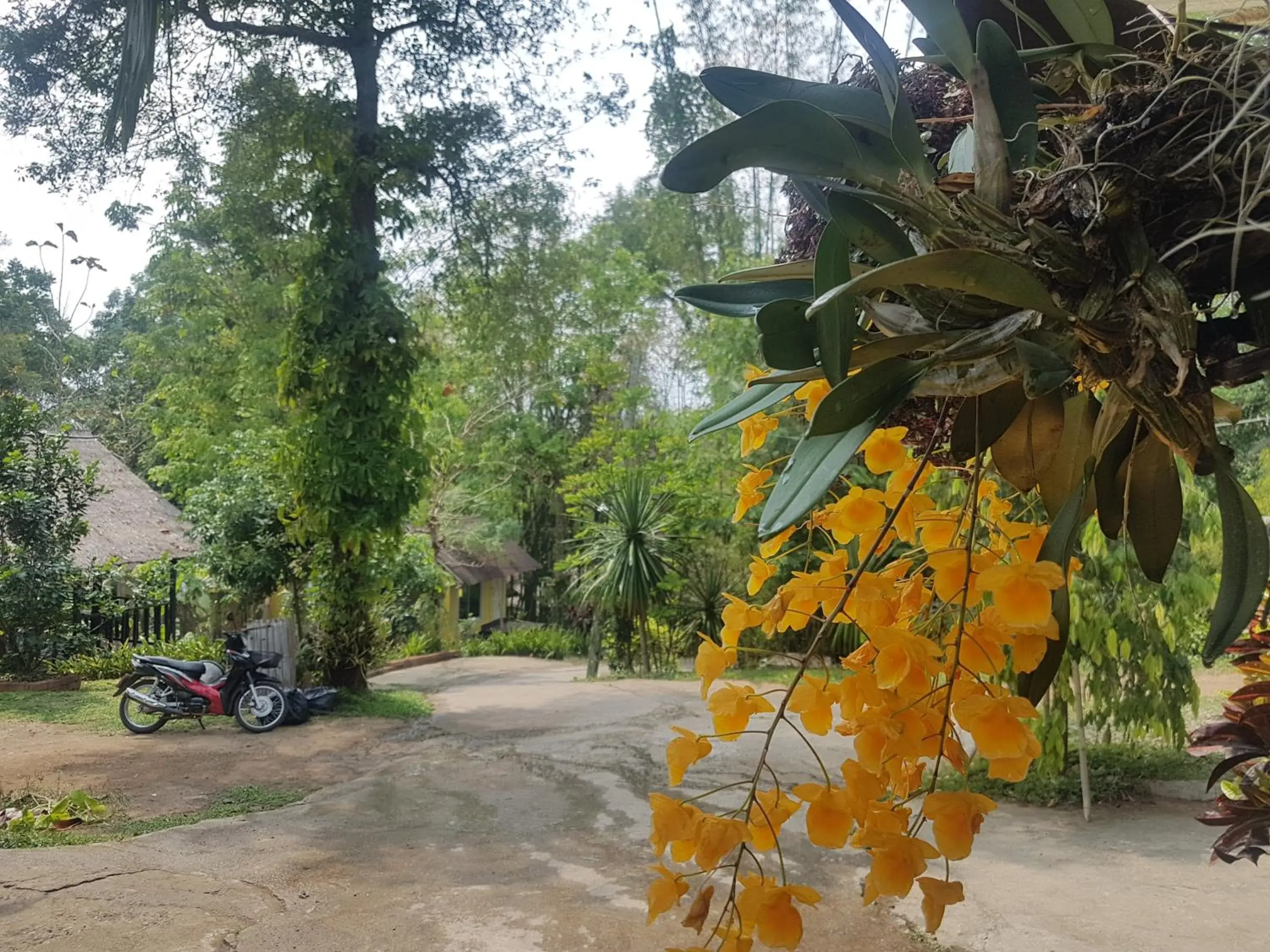 Facade/entrance in Chang Pai Resort