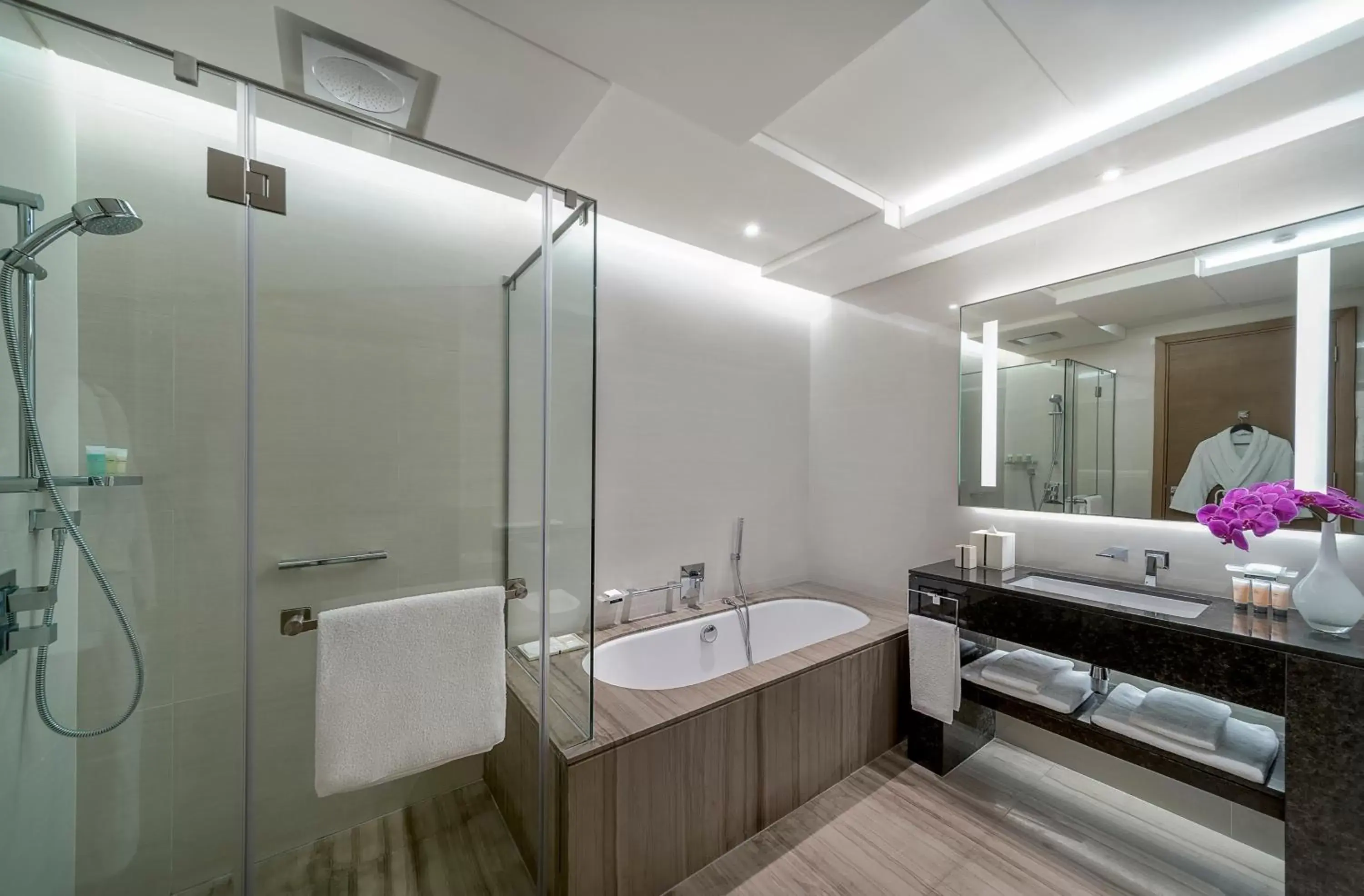 Bathroom in Hyatt Regency Dubai Creek Heights