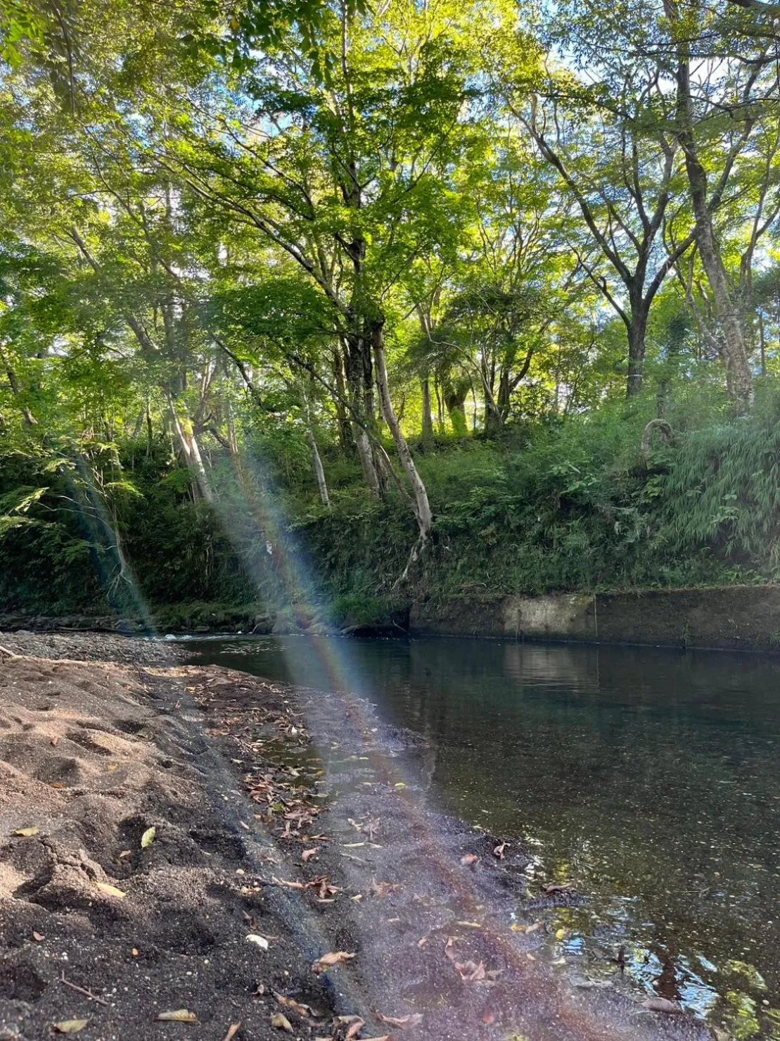 Nearby landmark in Fuji-Hakone Guest House
