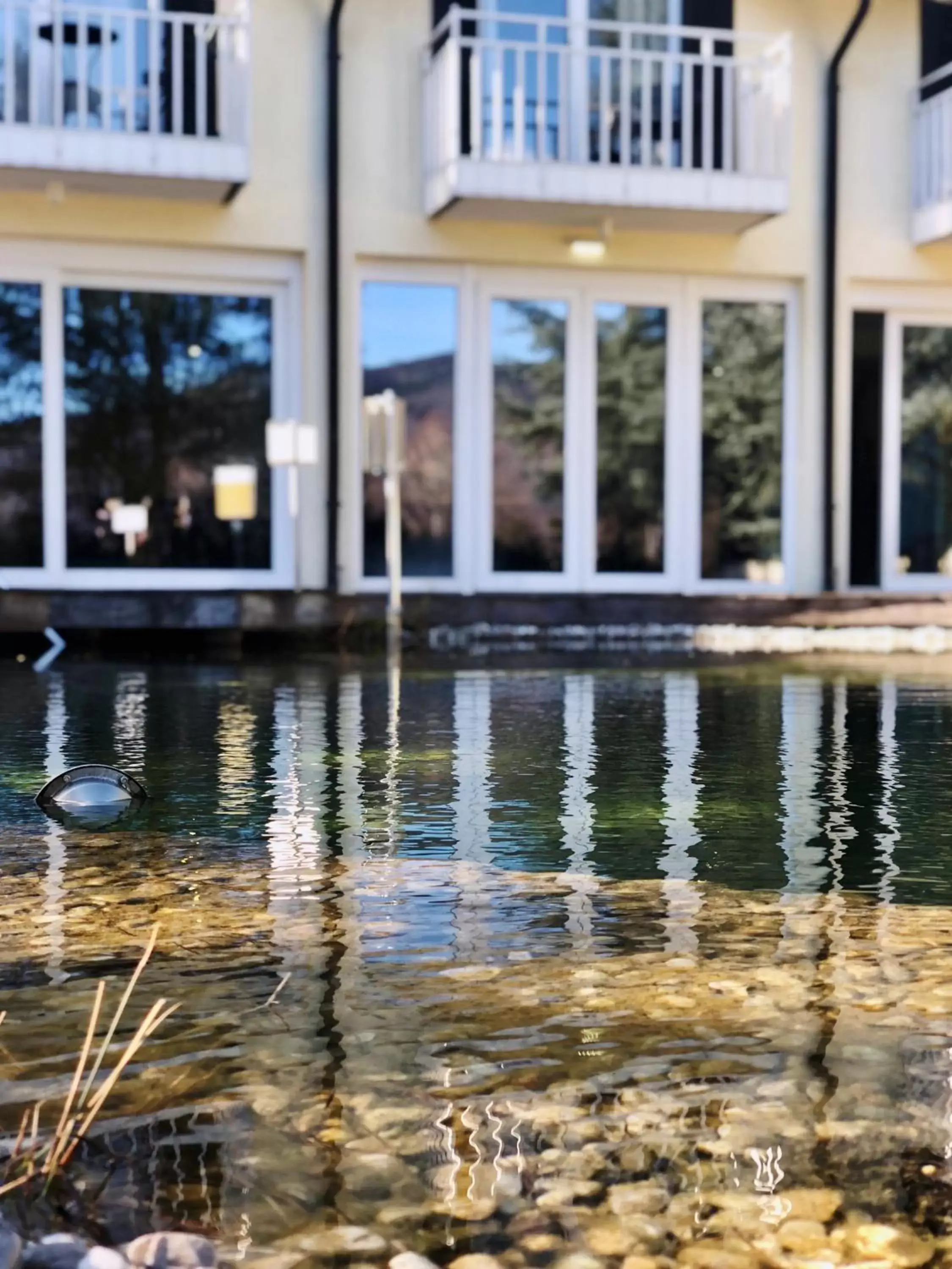 Garden, Swimming Pool in Momentum Hotel