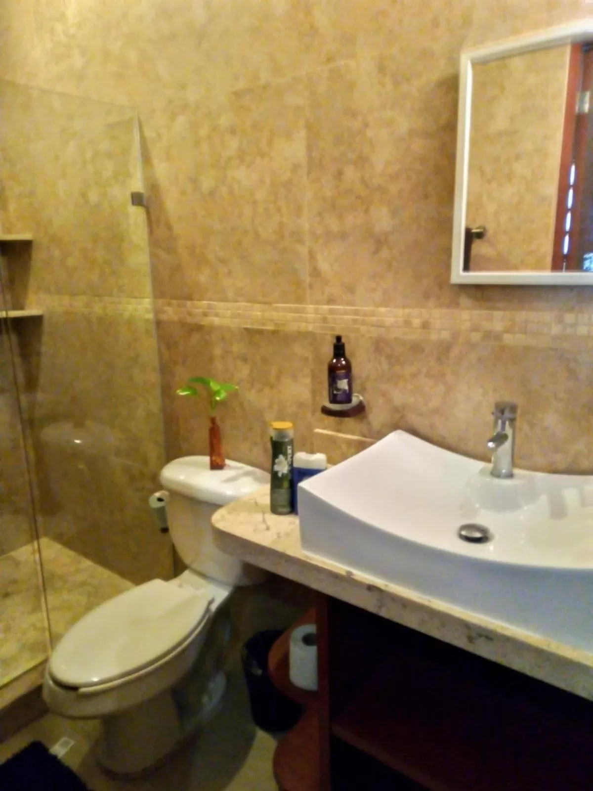 Bathroom in Bed and Breakfast Pecarí