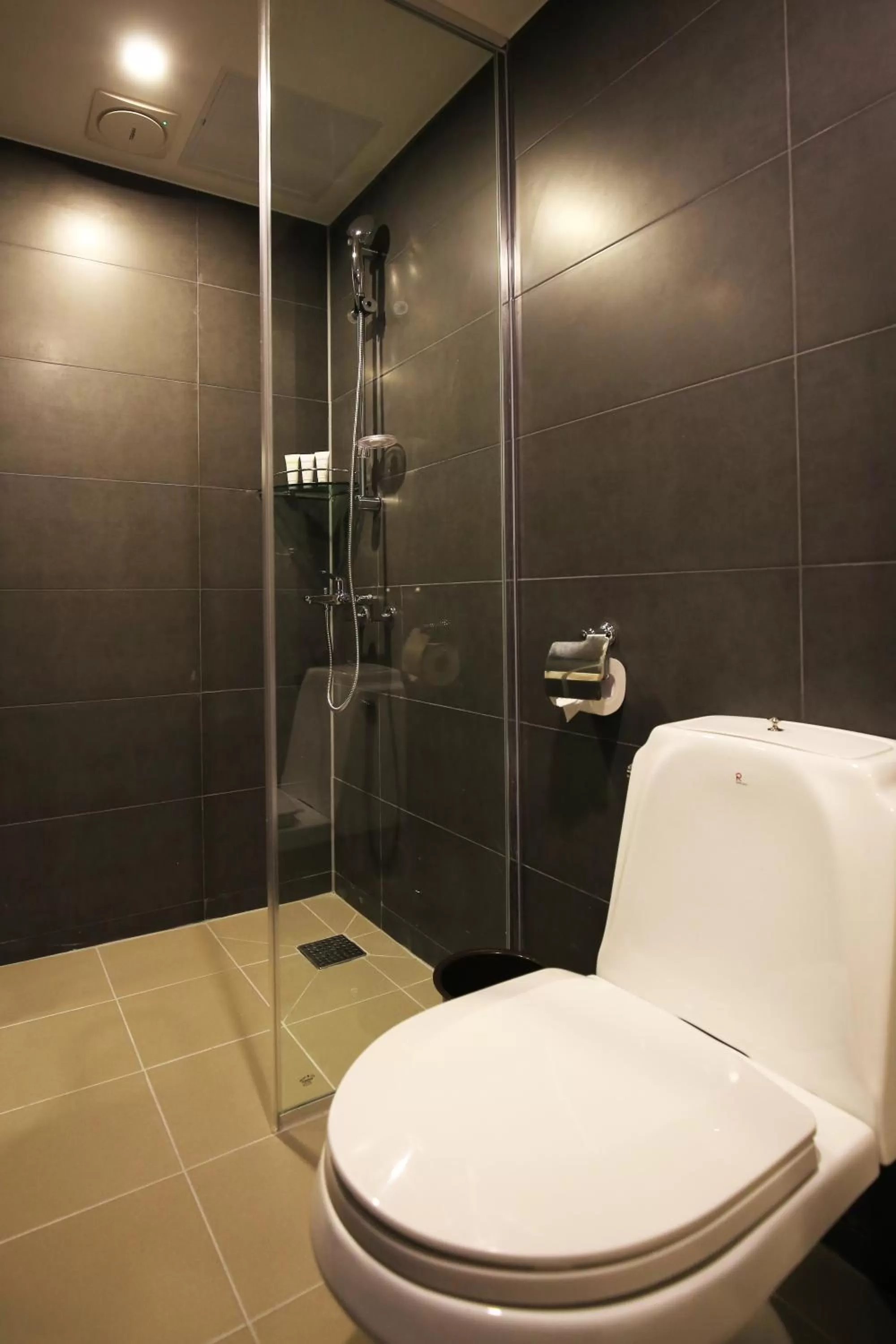 Shower in Best Western Jeju Hotel