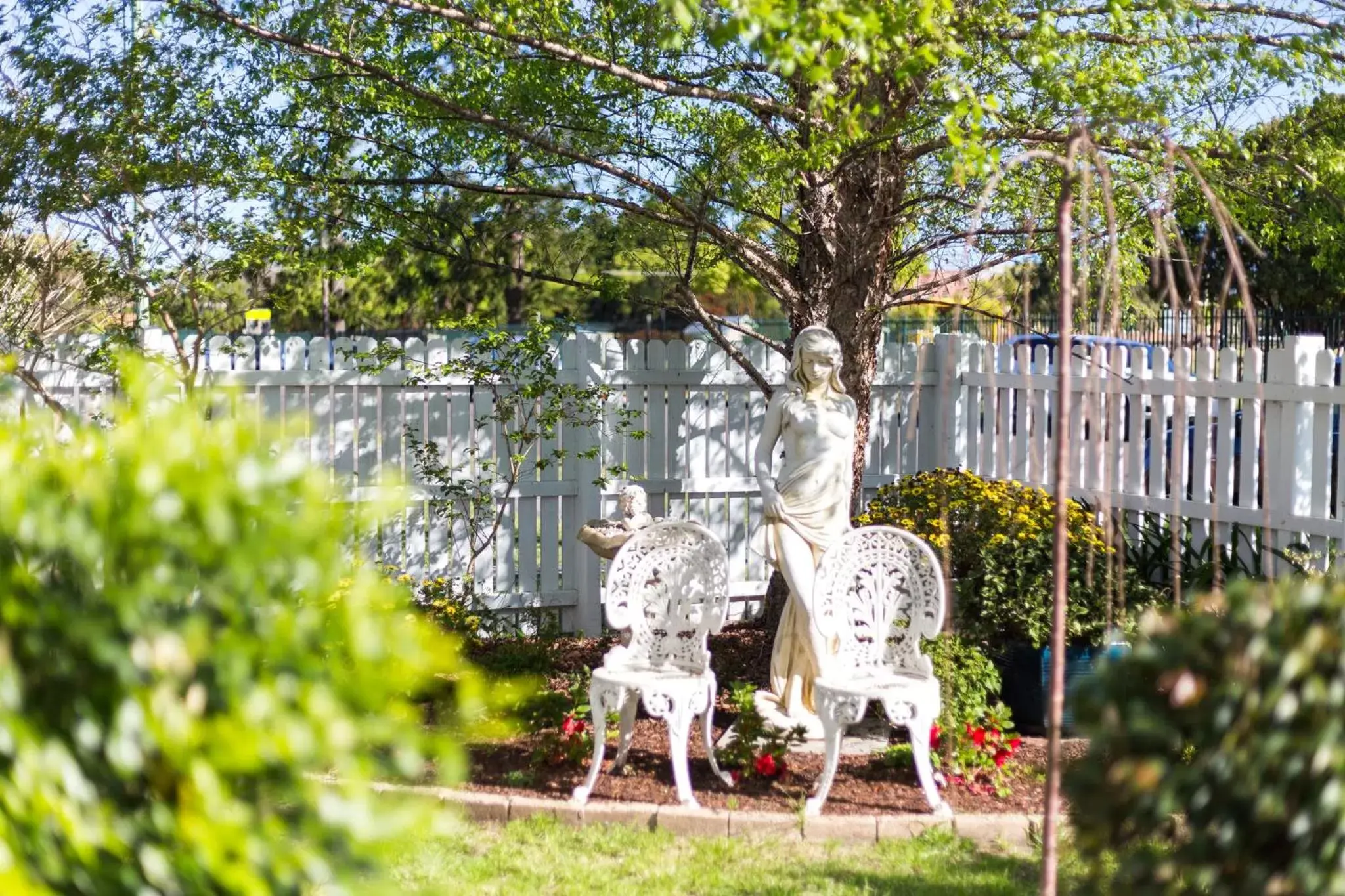 Garden in BIRCHES B&B