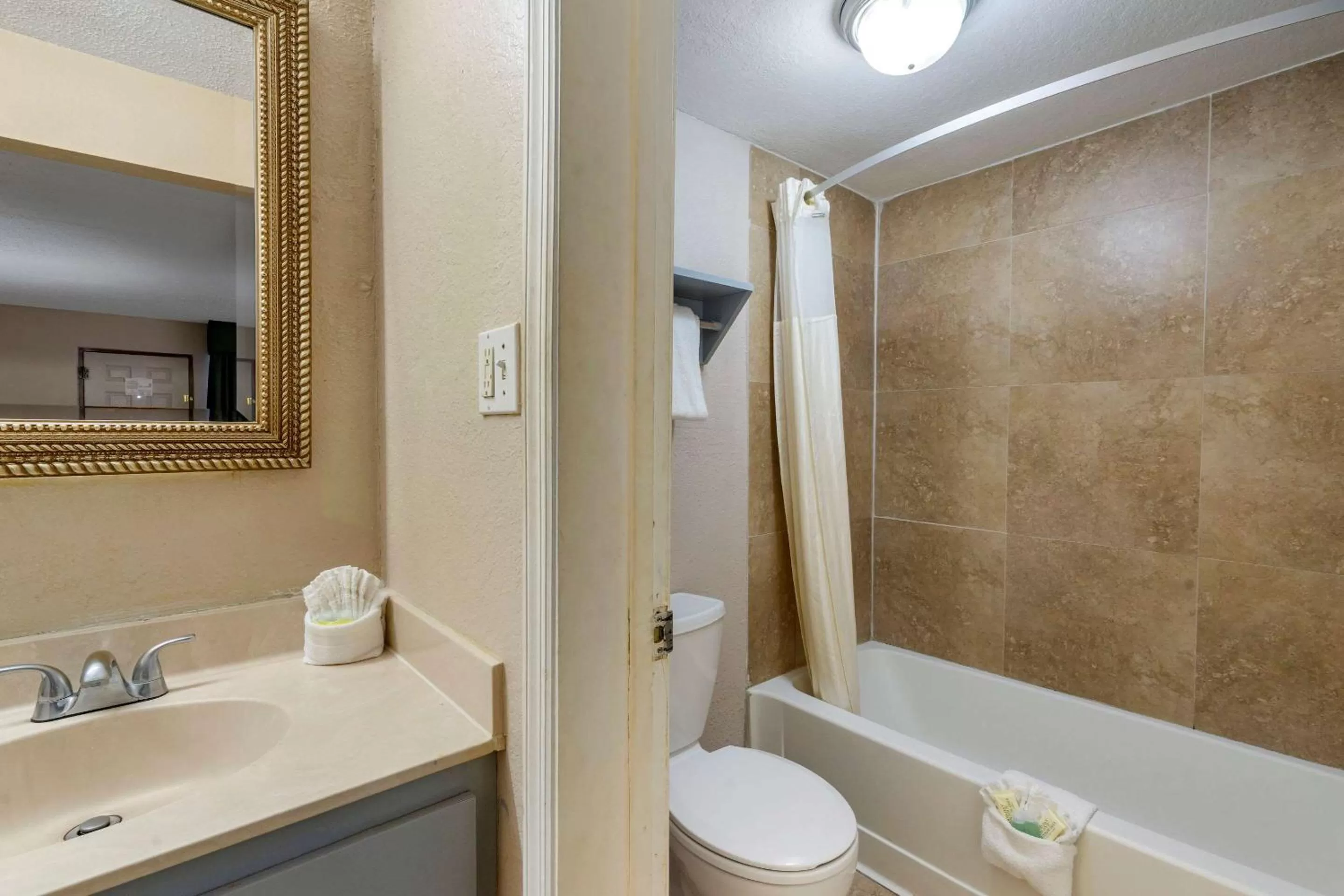 Bathroom in Rodeway Inn Clearwater-Dunedin