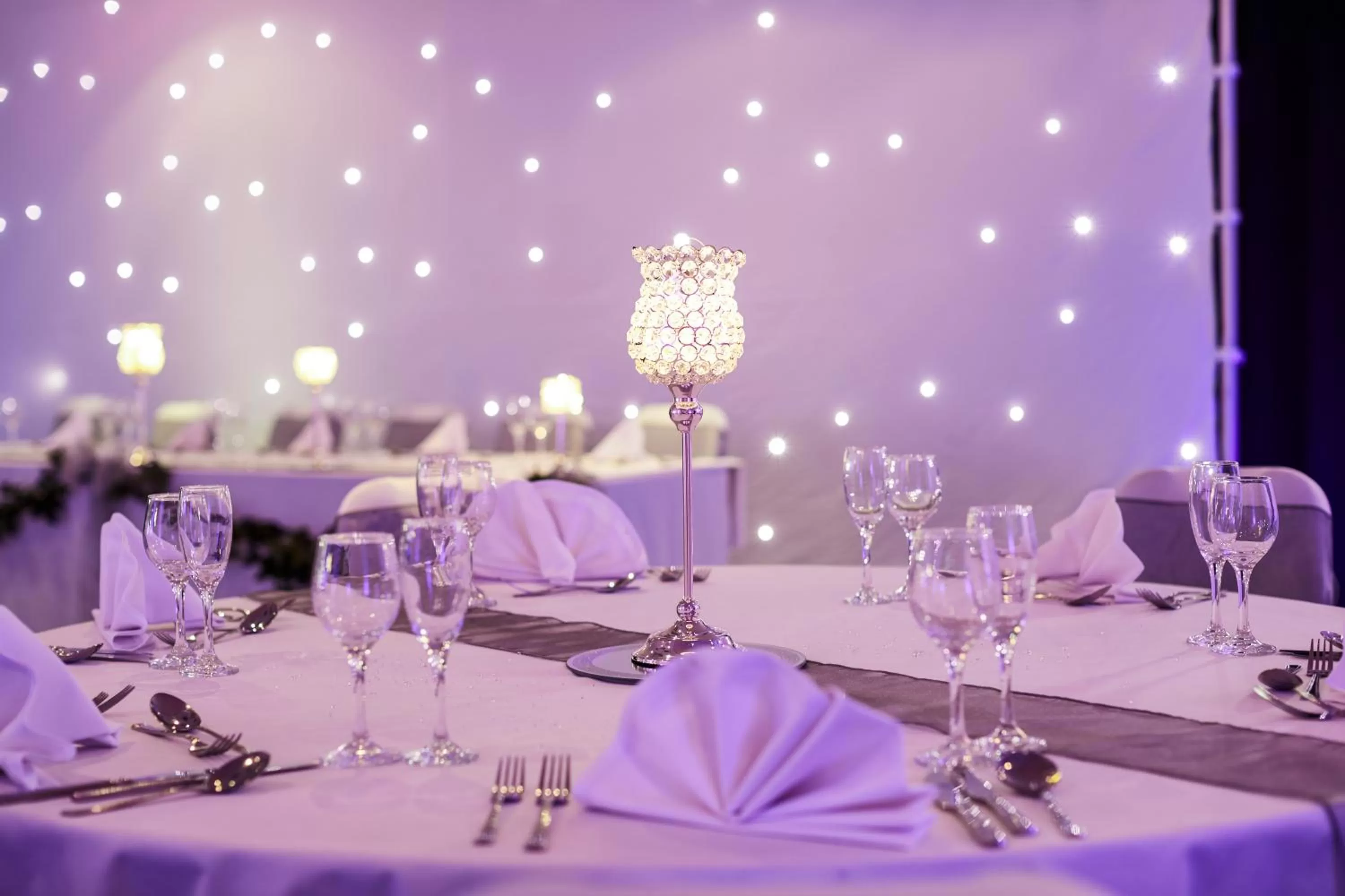 Banquet/Function facilities in Mercure Cardiff North Hotel