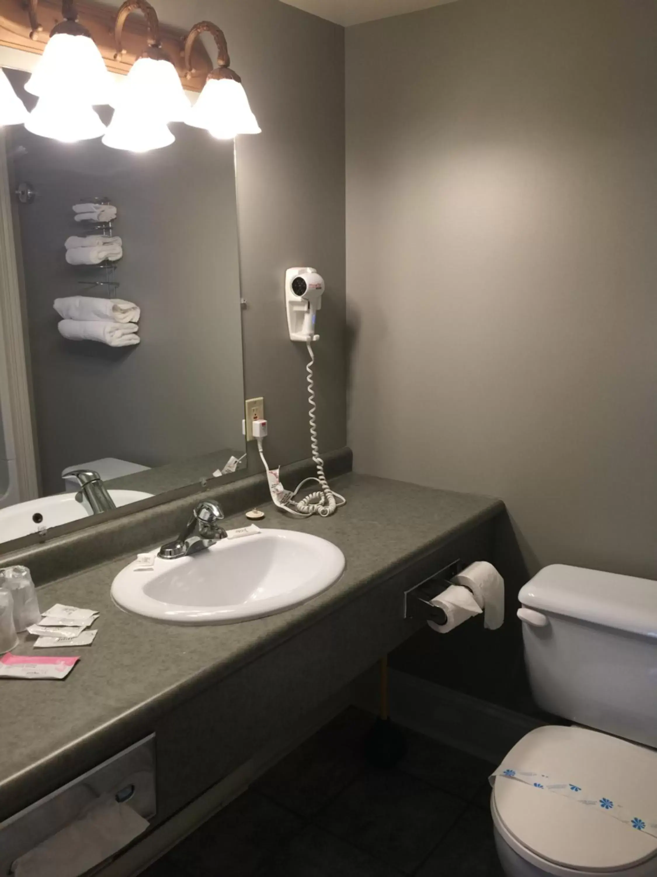 Toilet, Bathroom in Seawinds Motel & Cottages