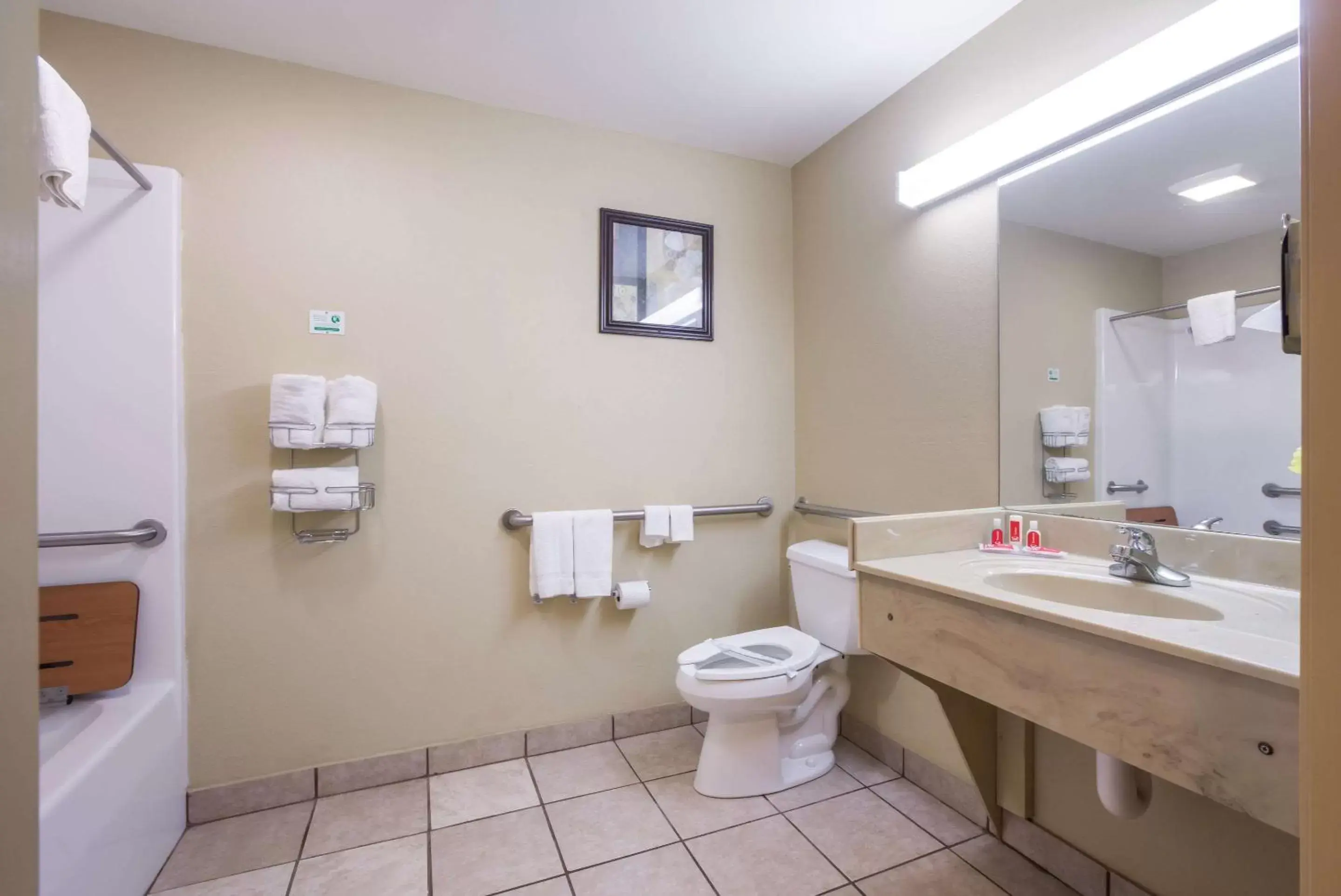 Other, Bathroom in Econo Lodge Inn & Suites Rockmart